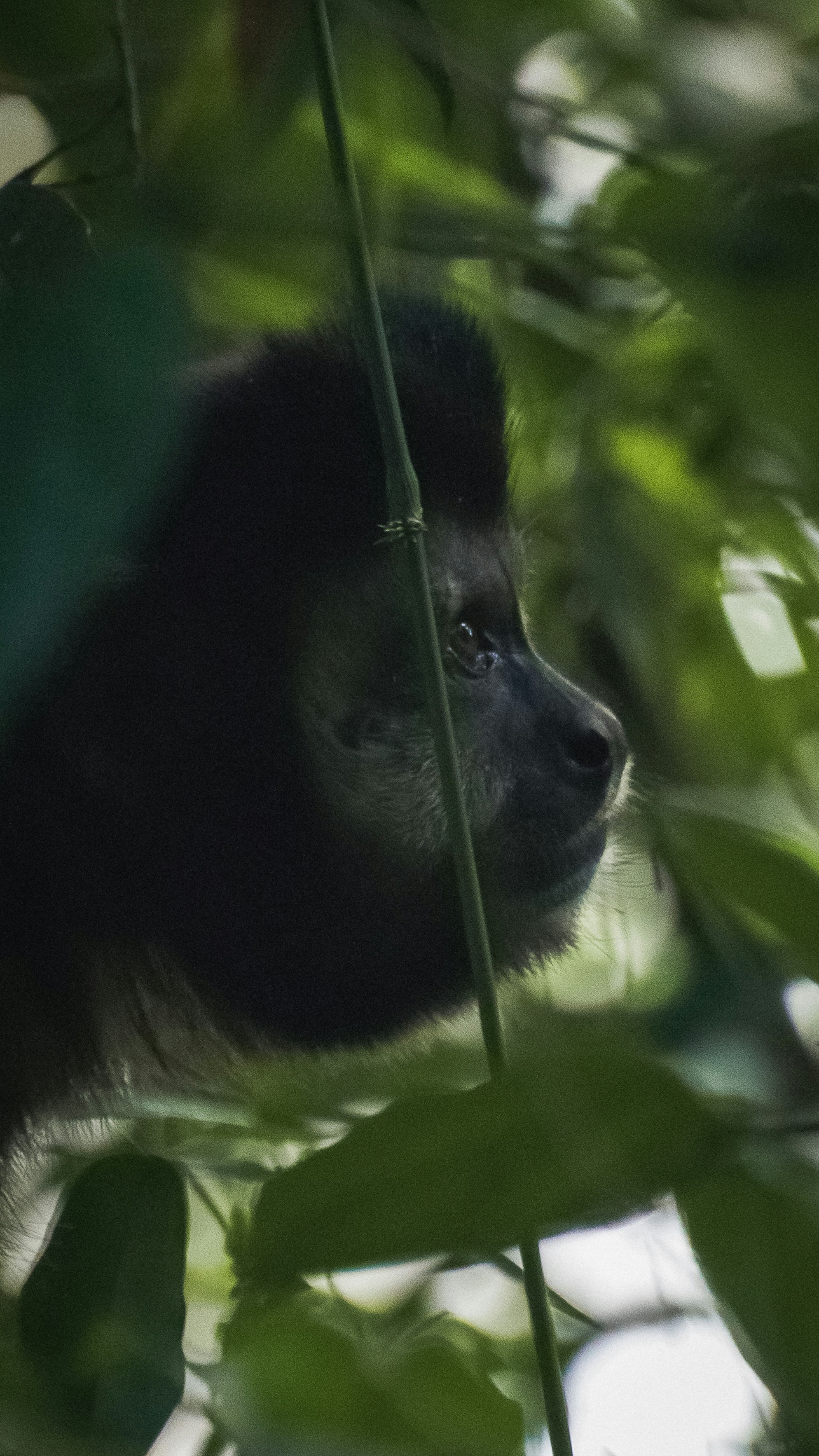 Photo by faustomarques