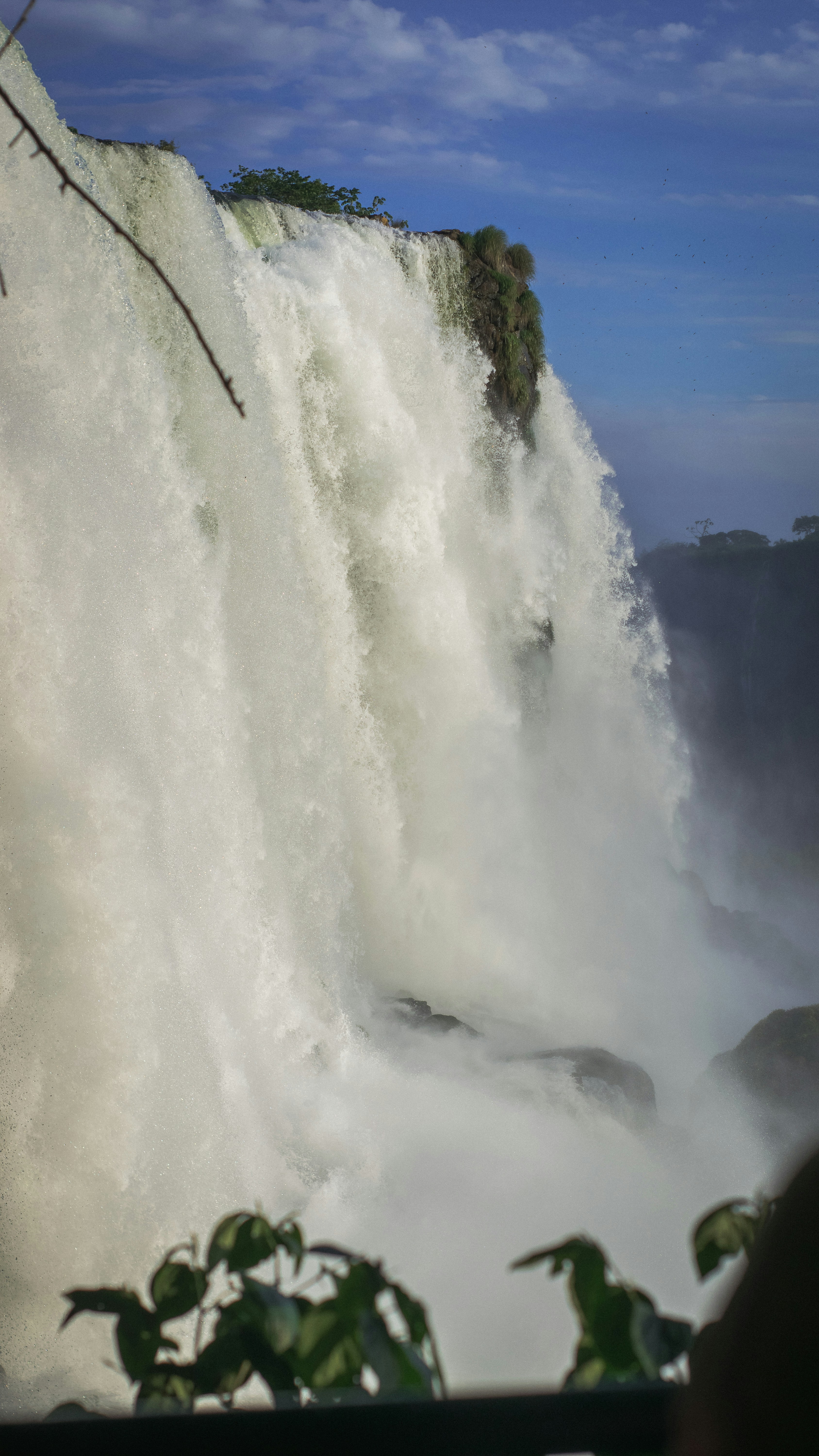 Photo by faustomarques