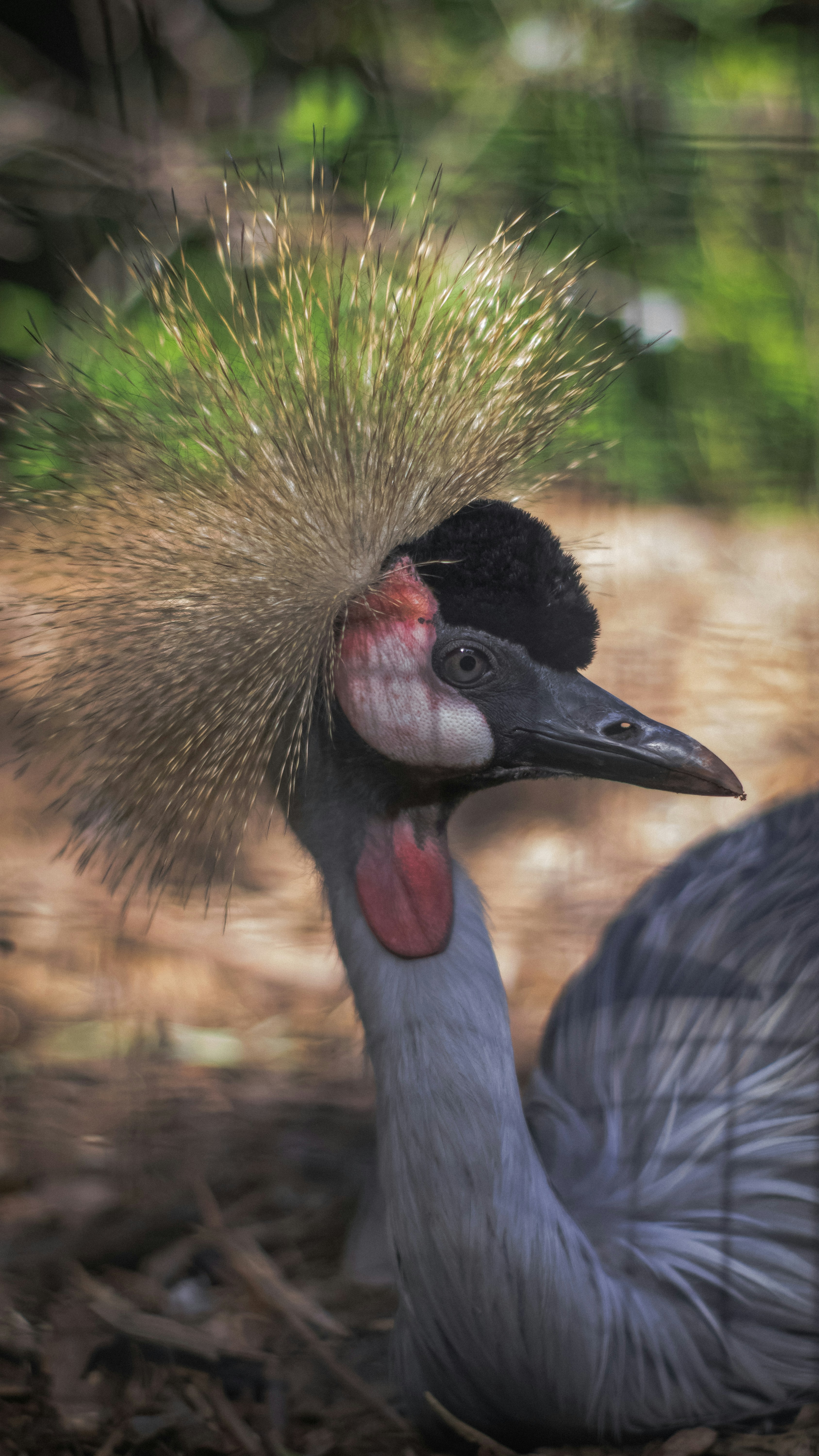 Photo by faustomarques