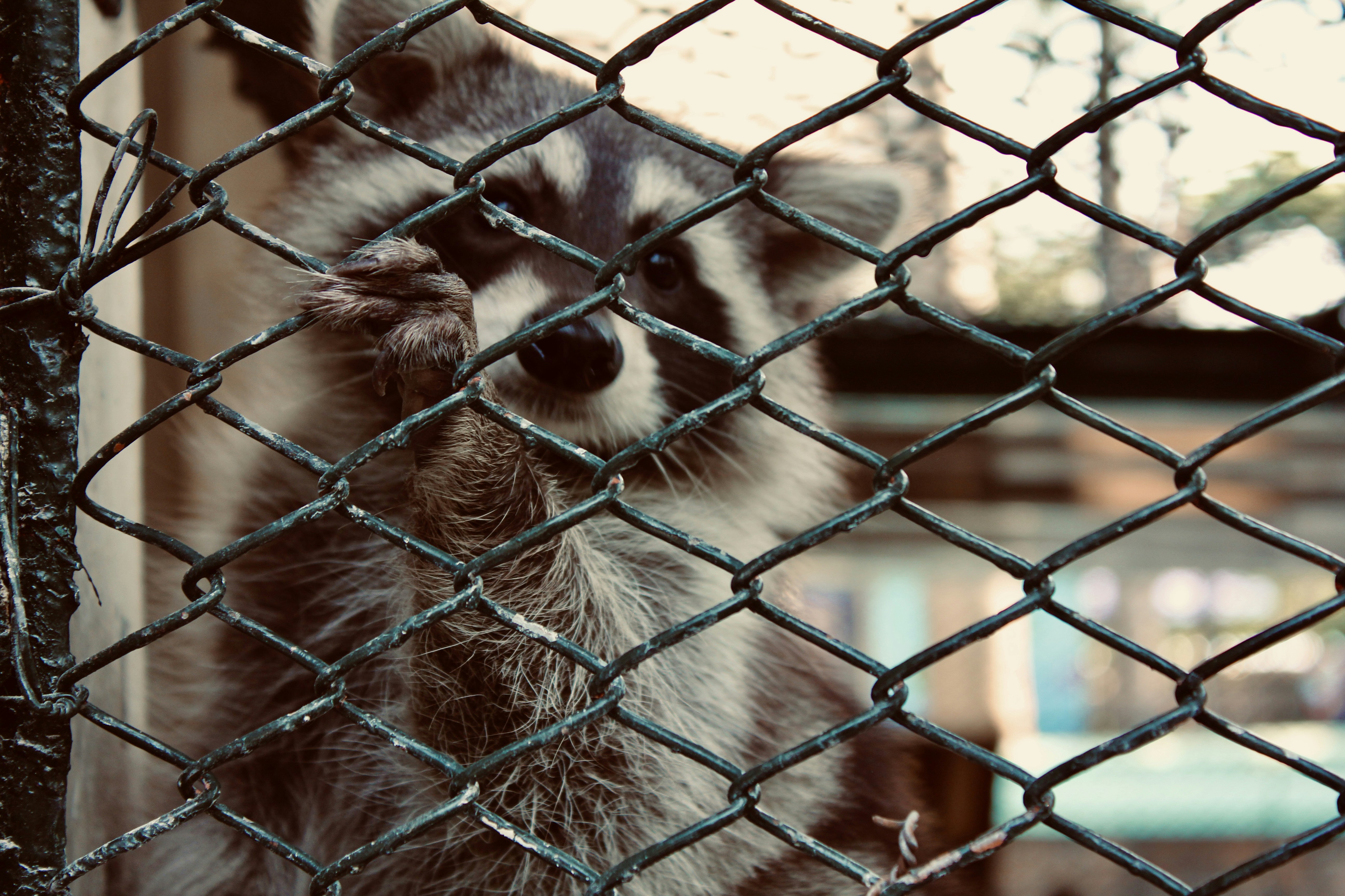 Photo by worldtravelwithjean