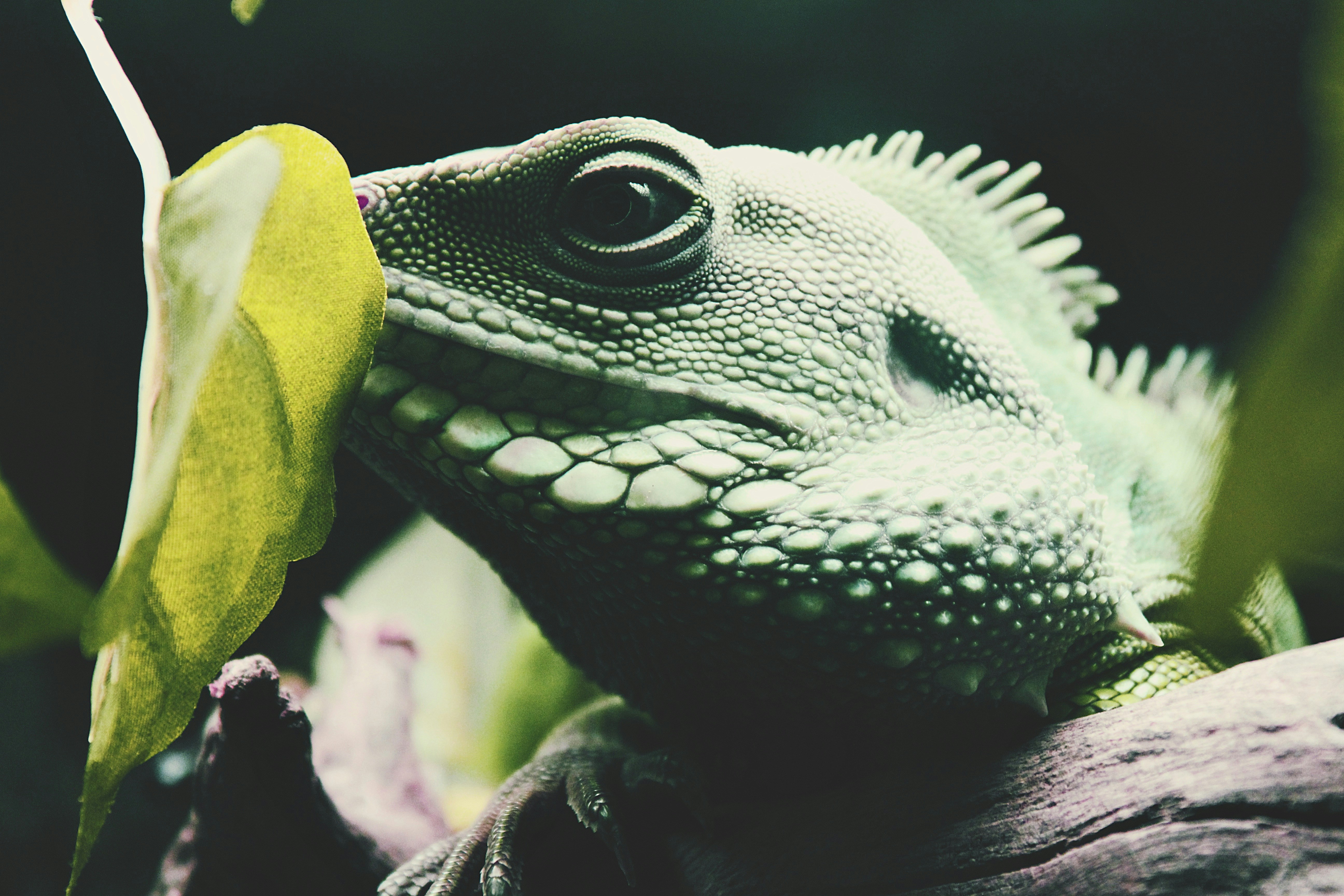 Photo by worldtravelwithjean