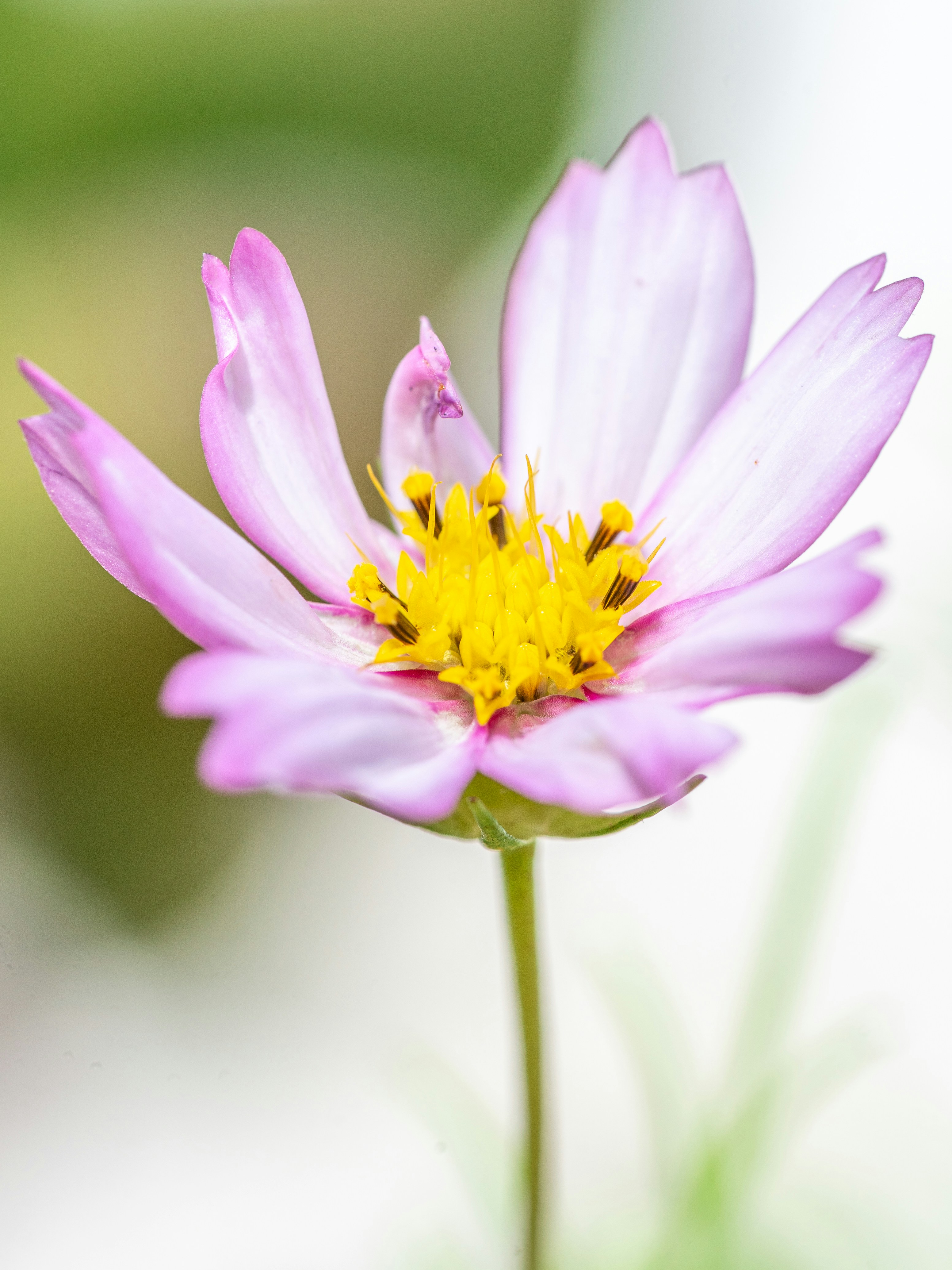 Photo by winstonchen