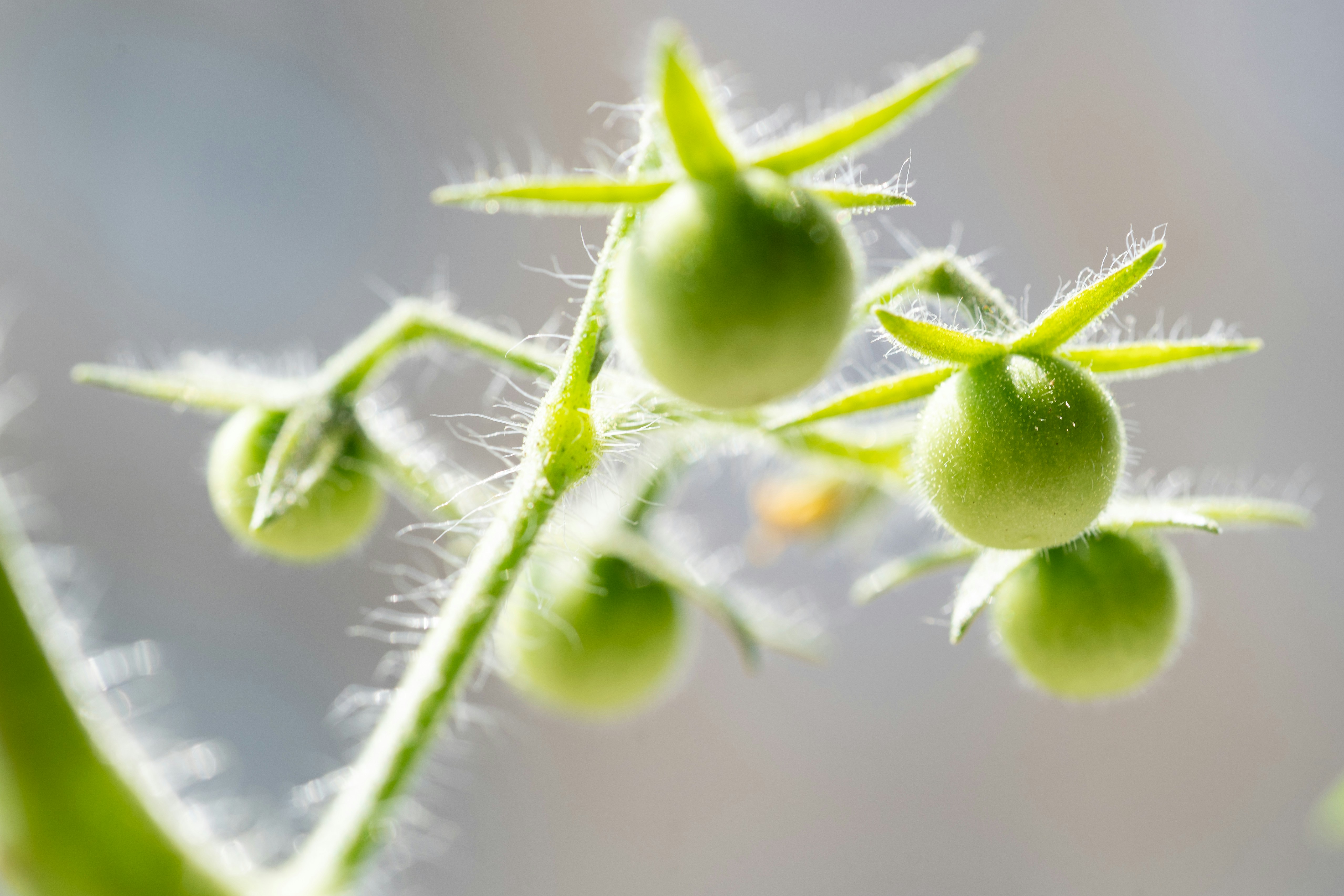 Photo by winstonchen