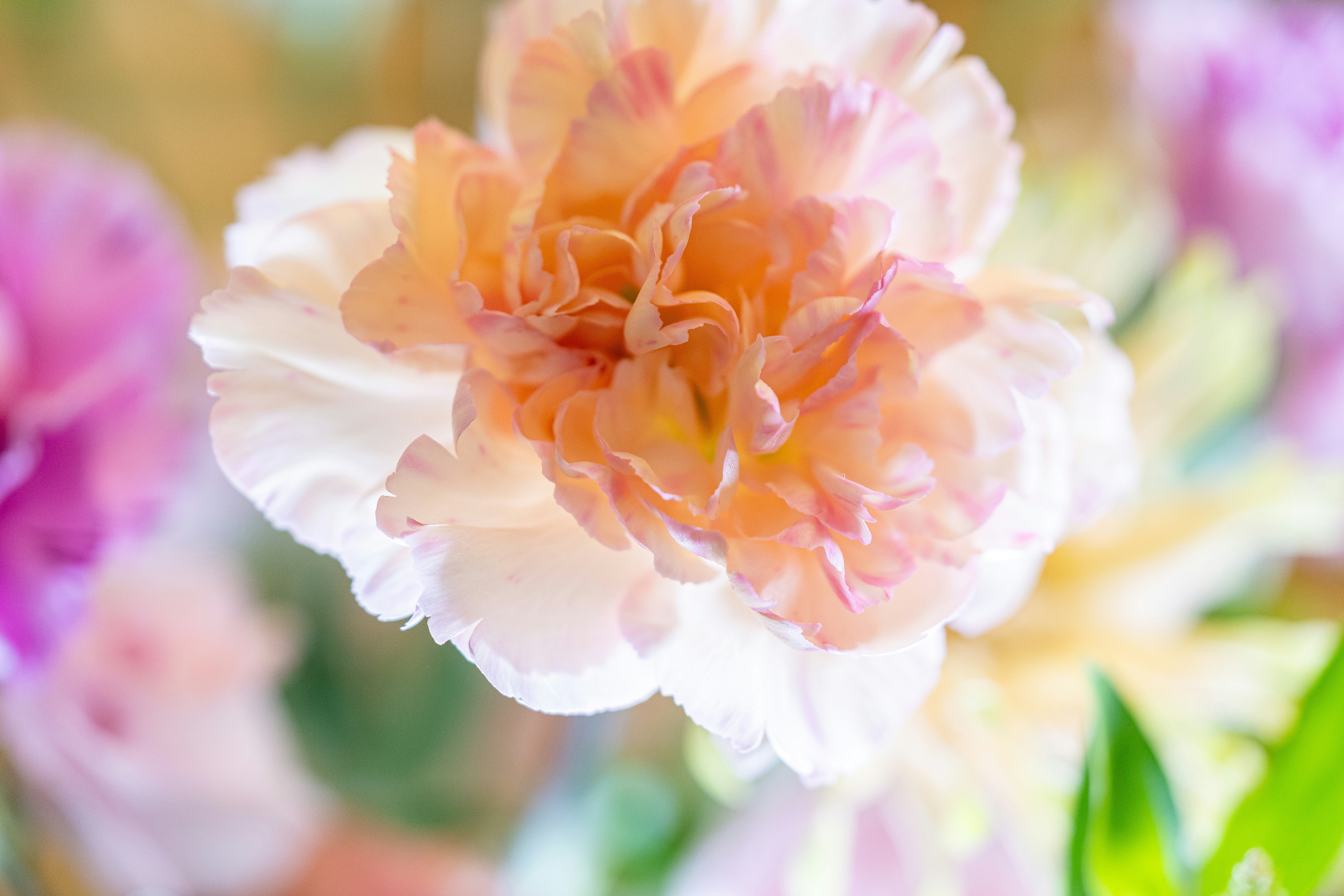 Photo by winstonchen