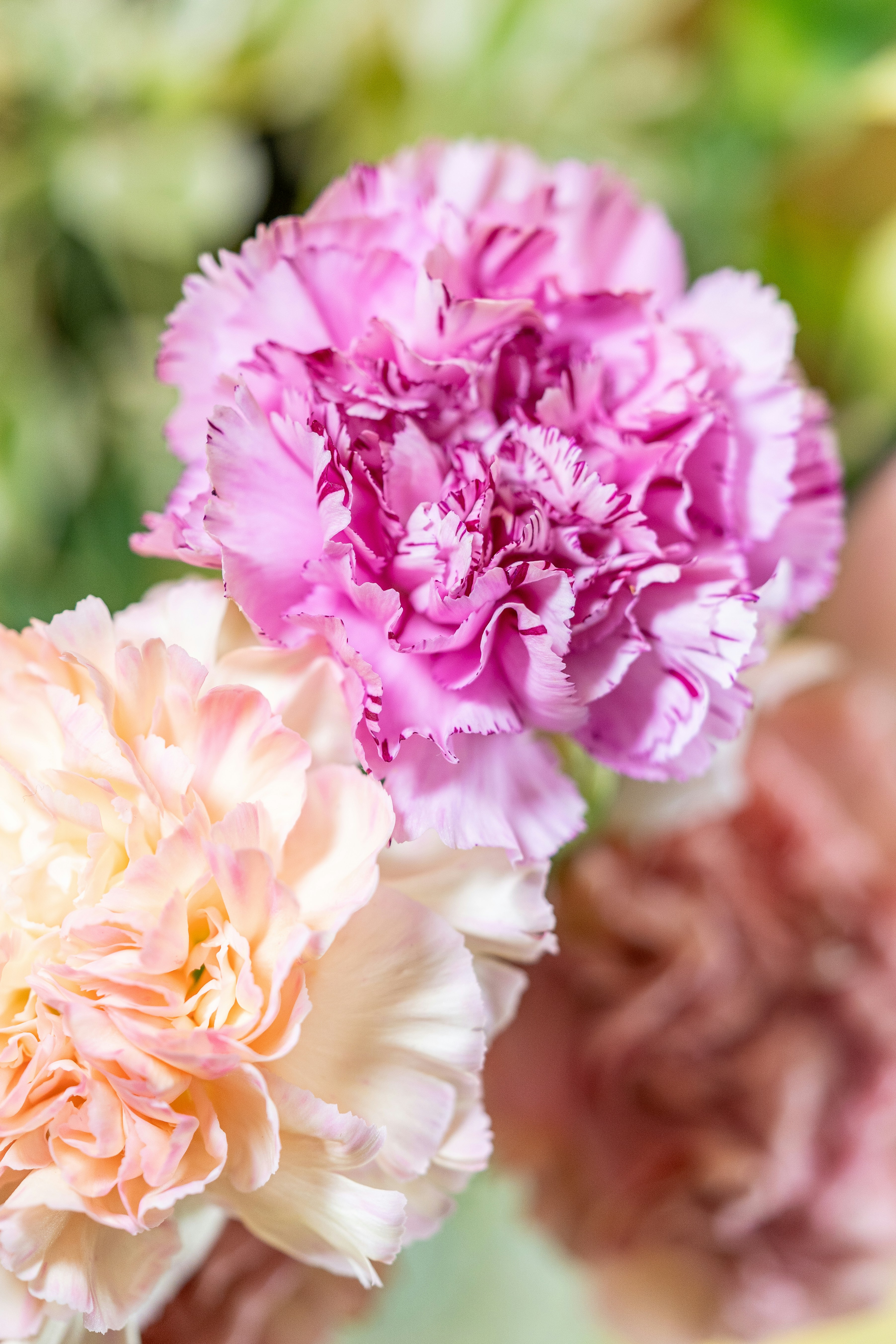 Photo by winstonchen