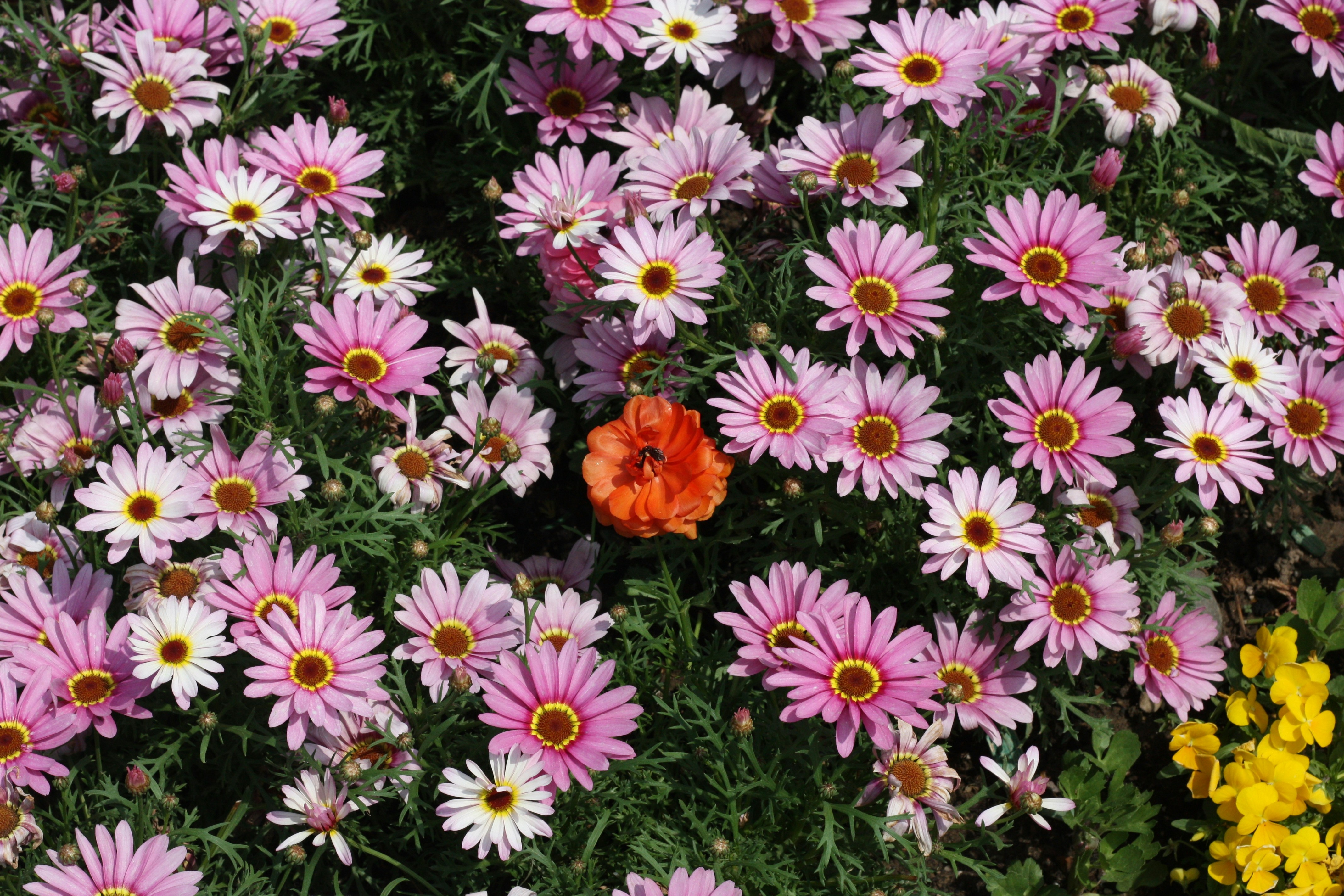 Photo by likethecloud