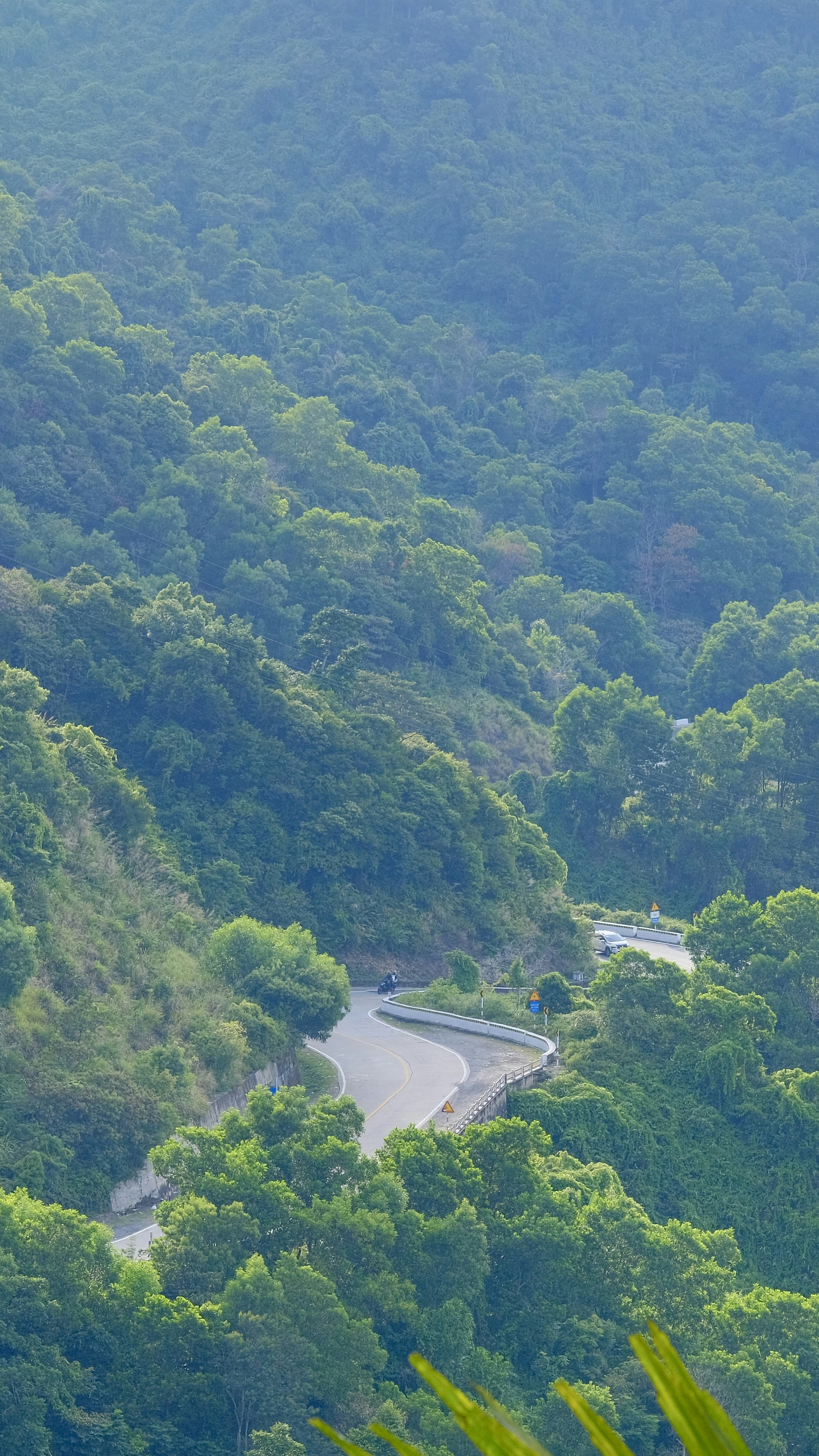 Photo by tutrananh109