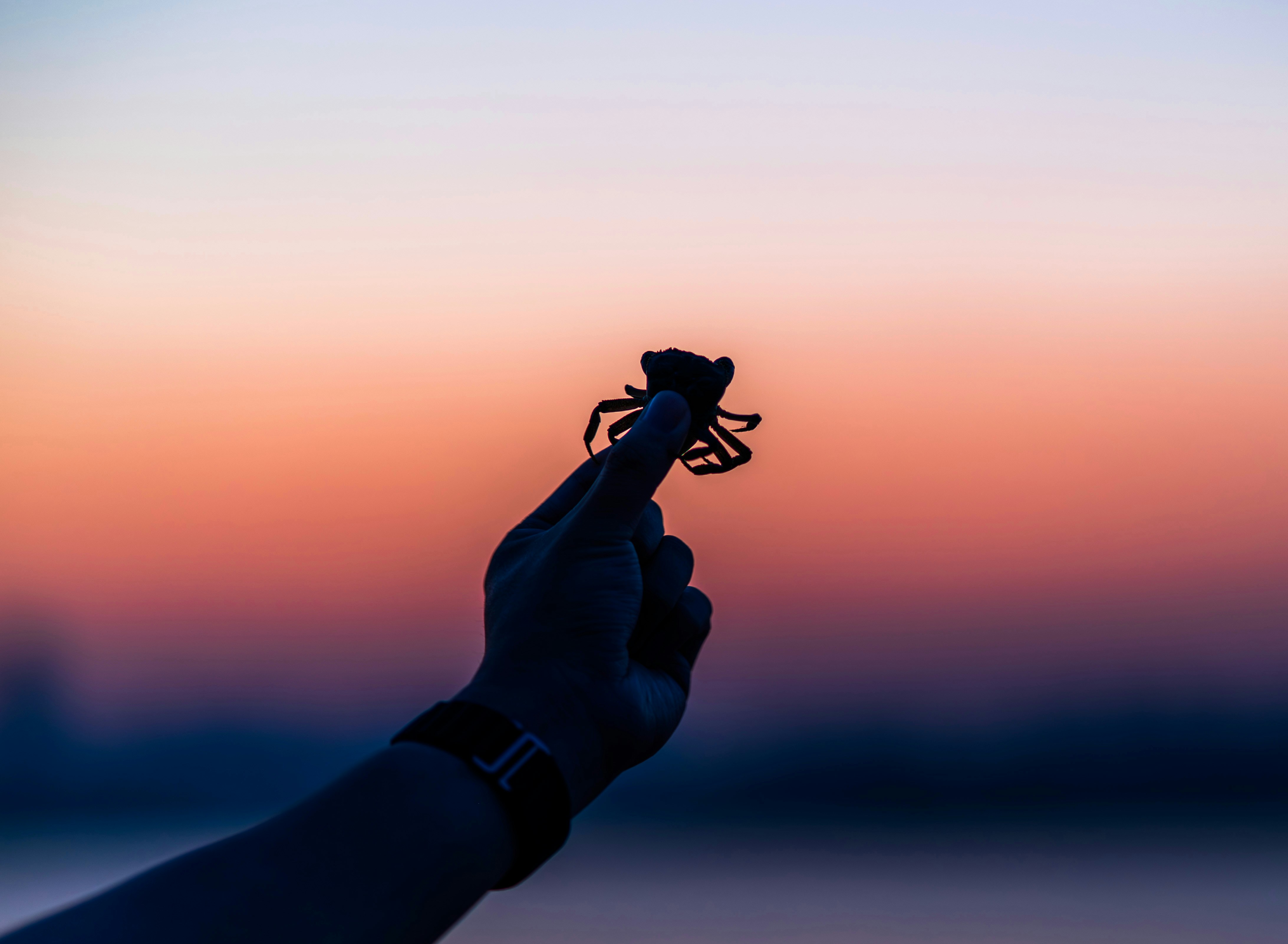 Photo by excellentcx