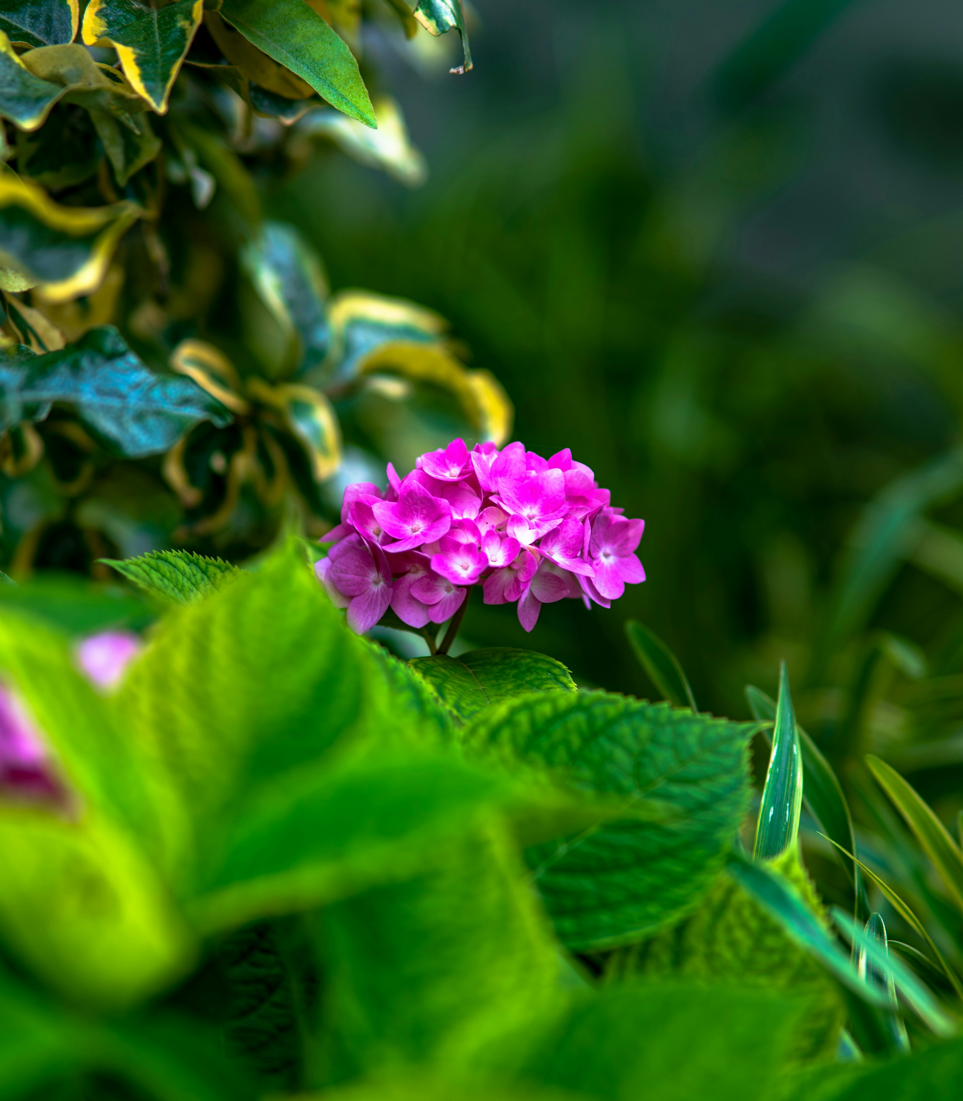 Photo by excellentcx