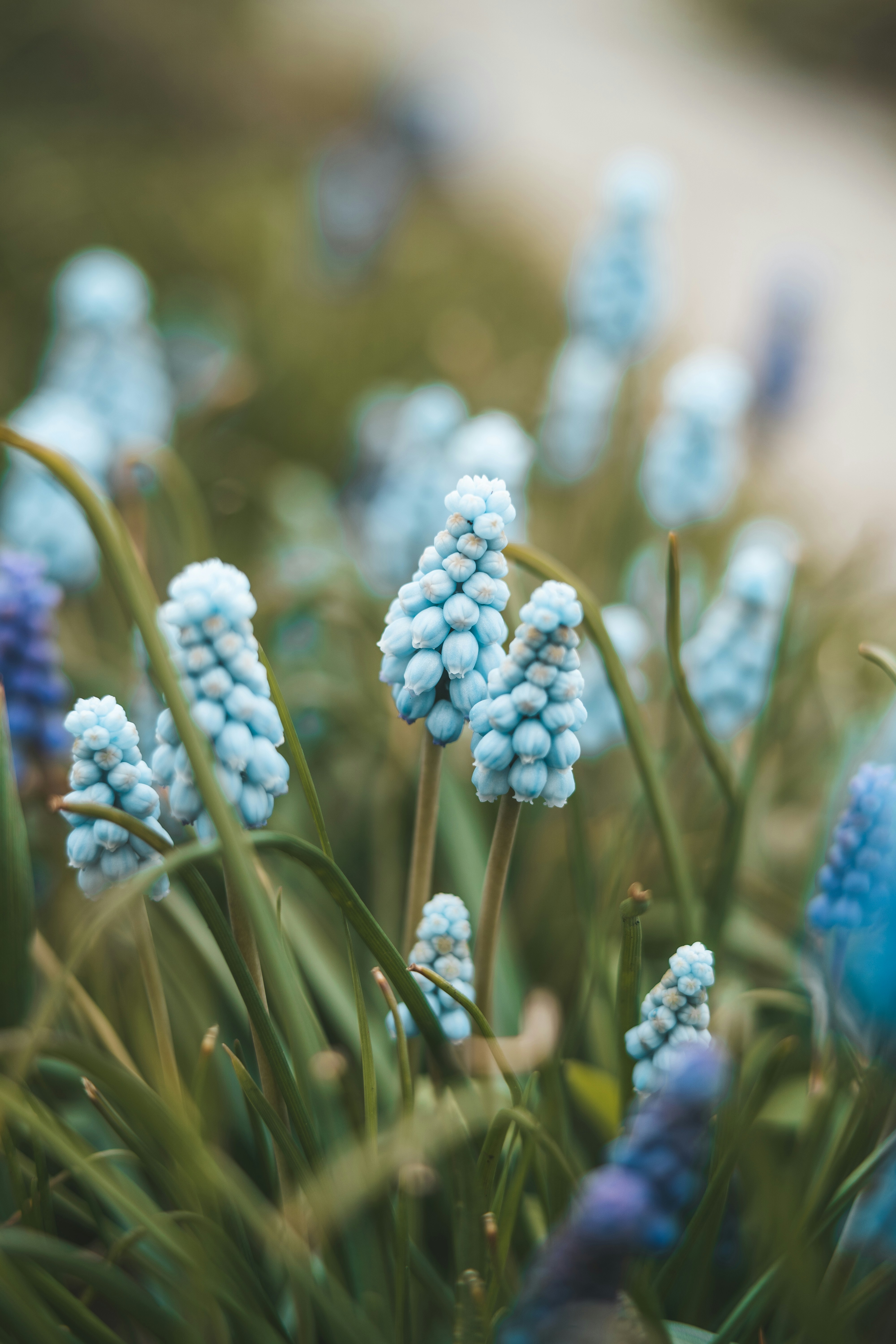 Photo by anamnesis33