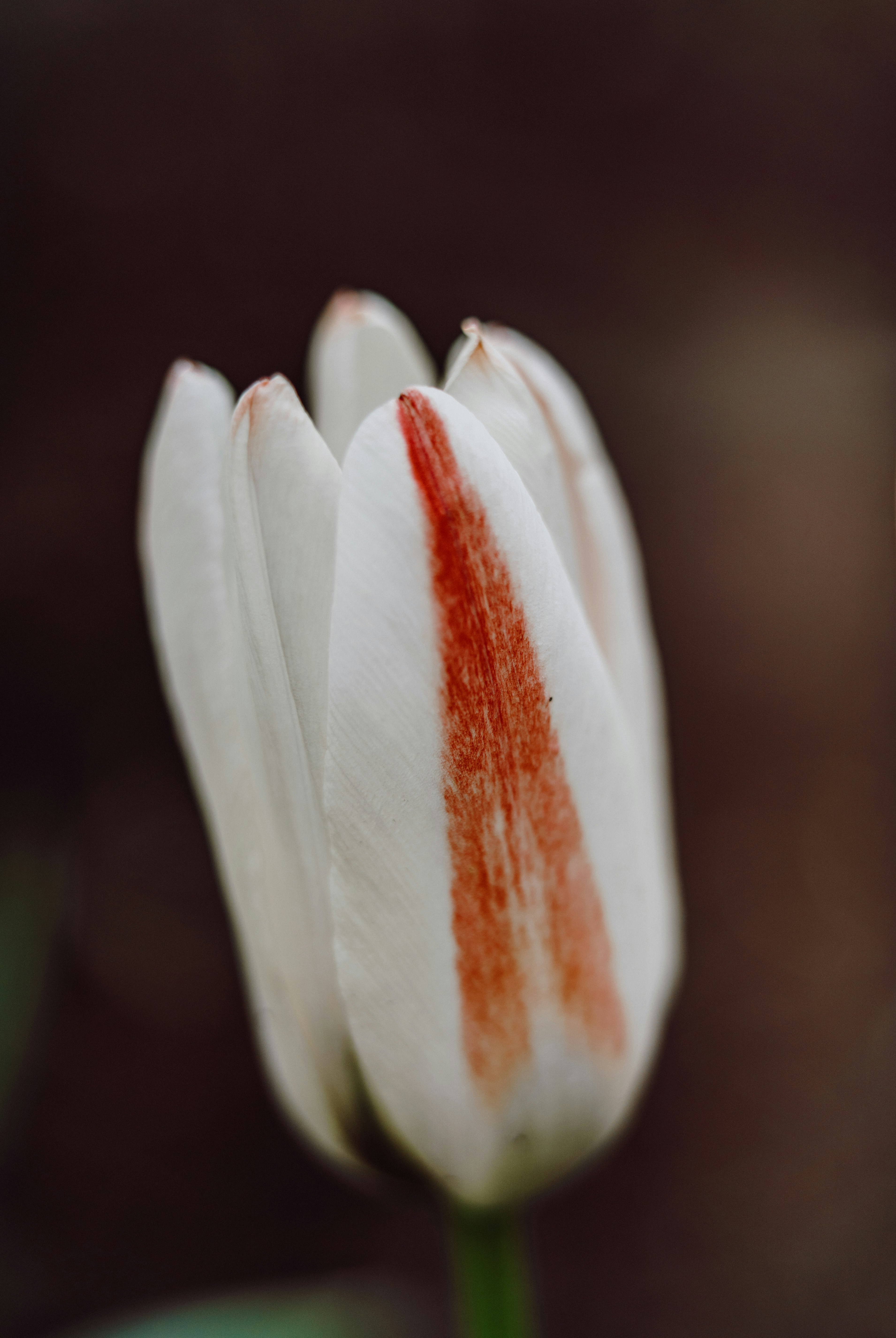 Photo by anamnesis33