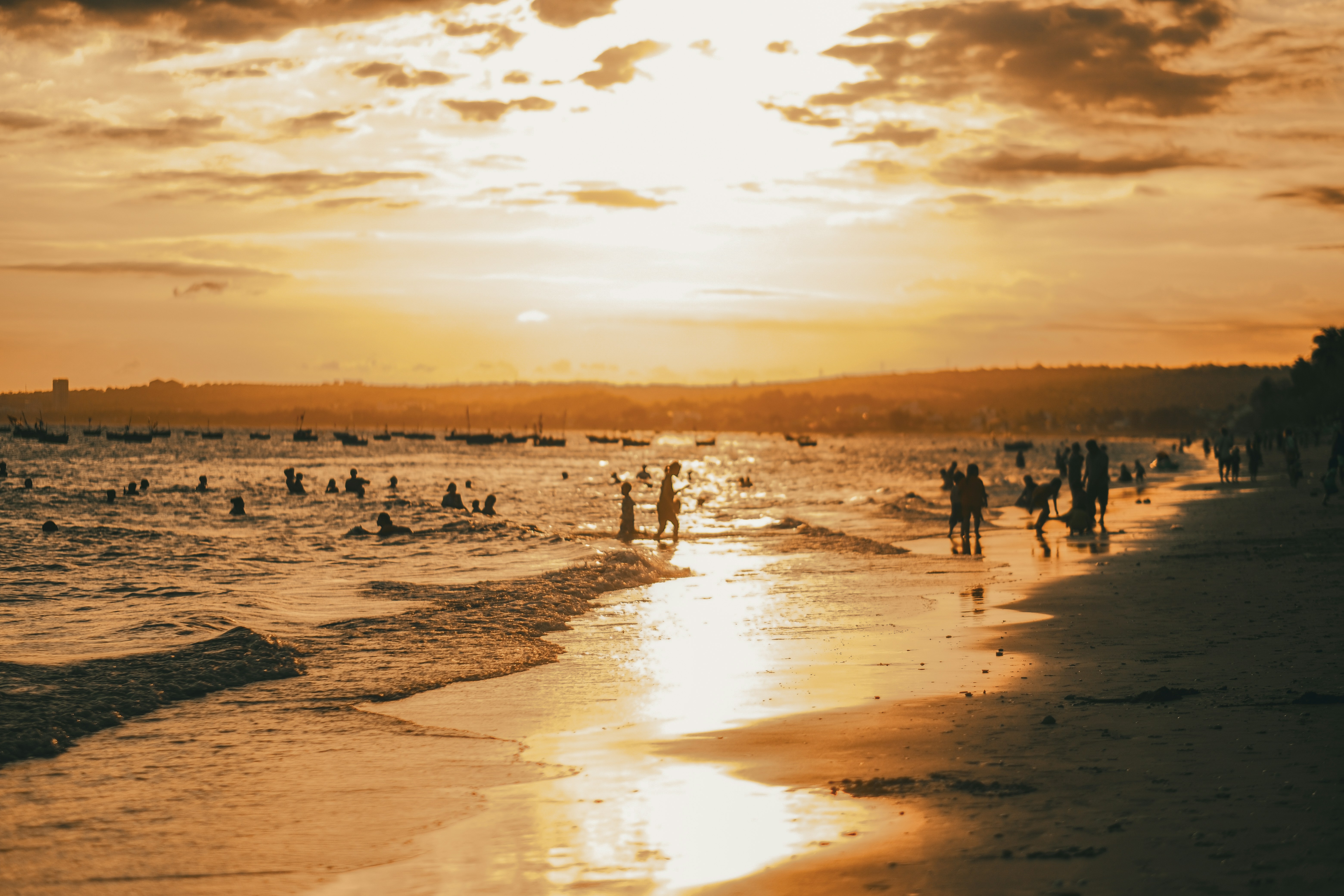 Photo by thinhngtrung