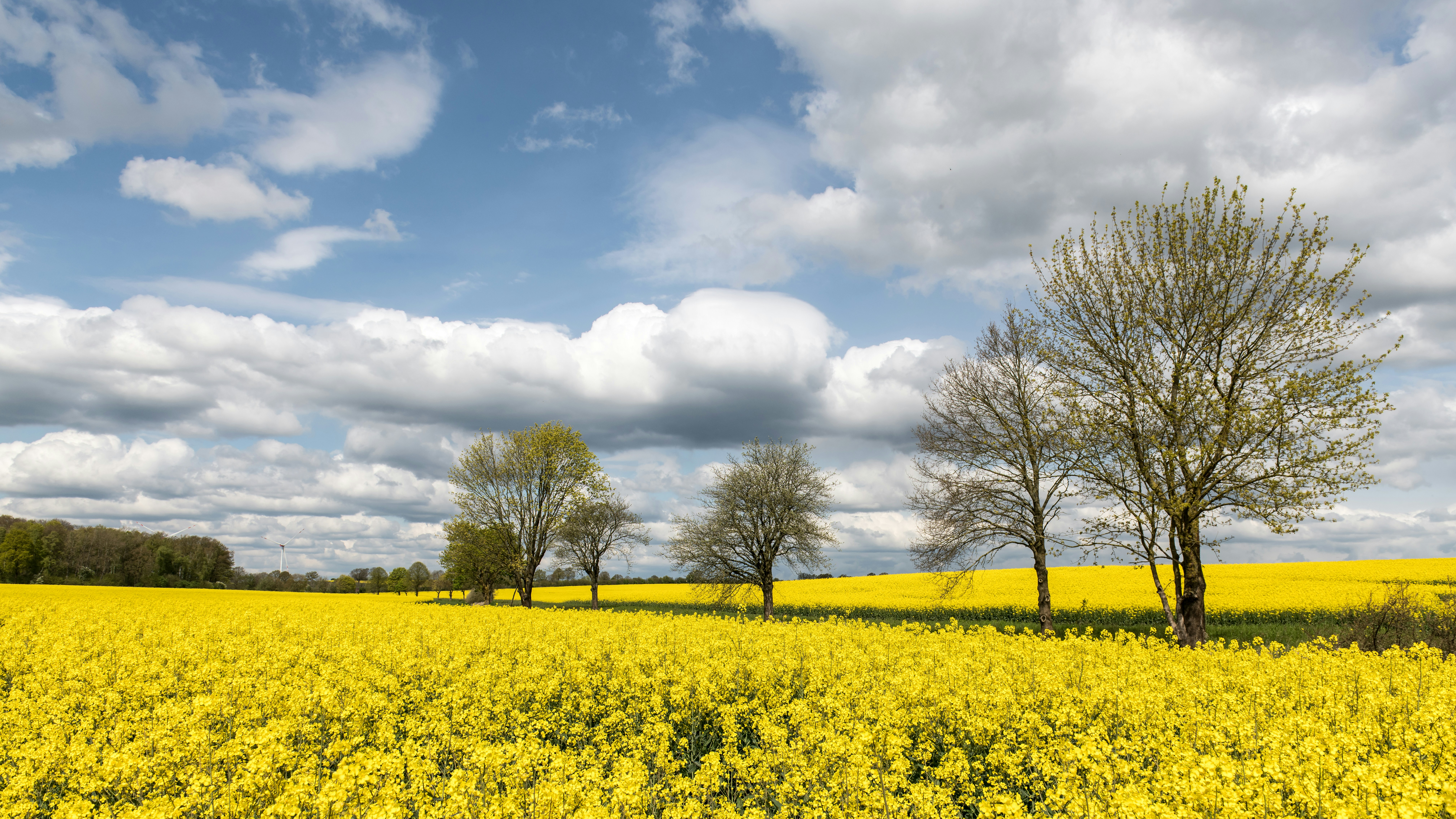 Photo by hamburgmeinefreundin