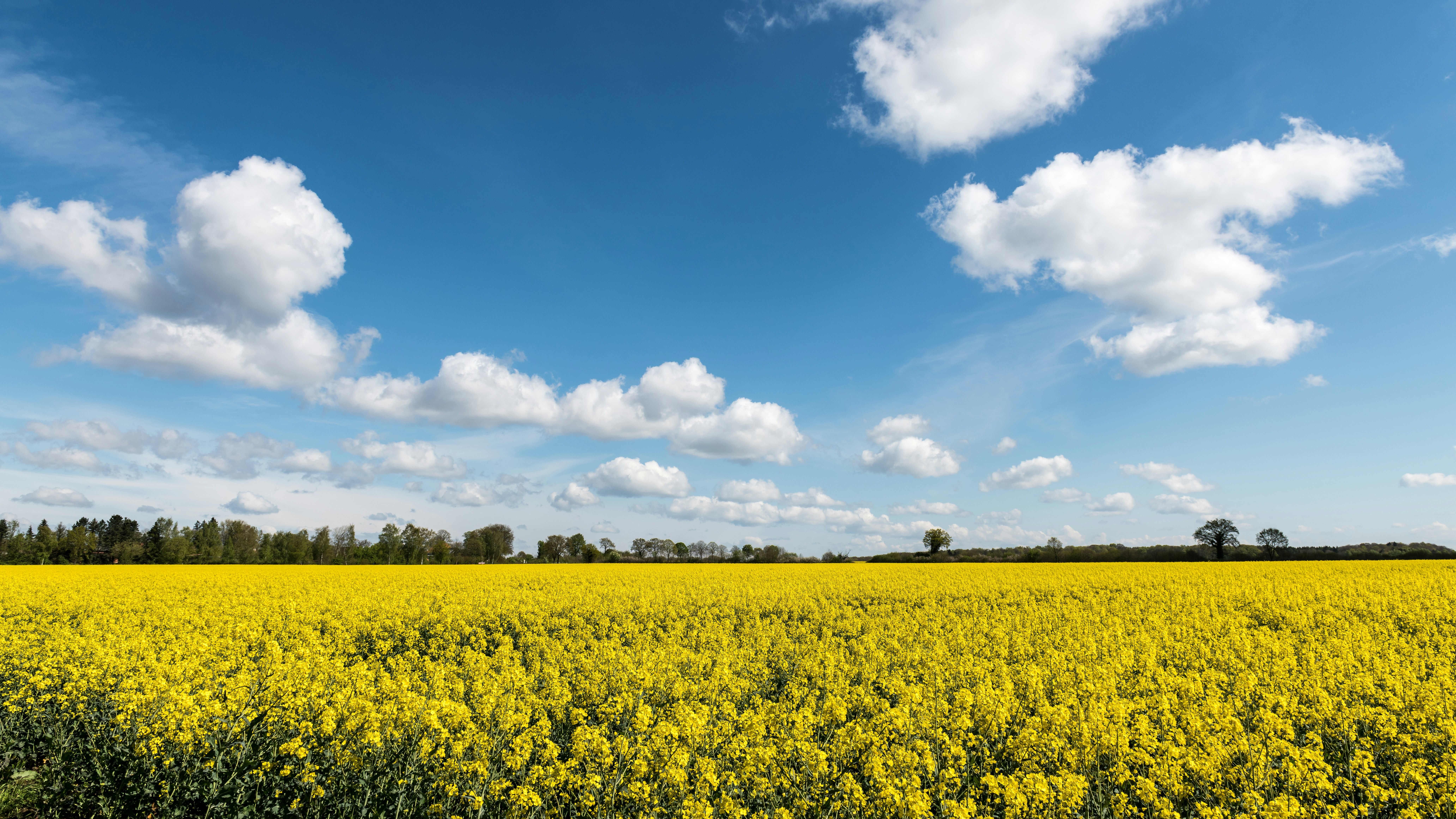 Photo by hamburgmeinefreundin