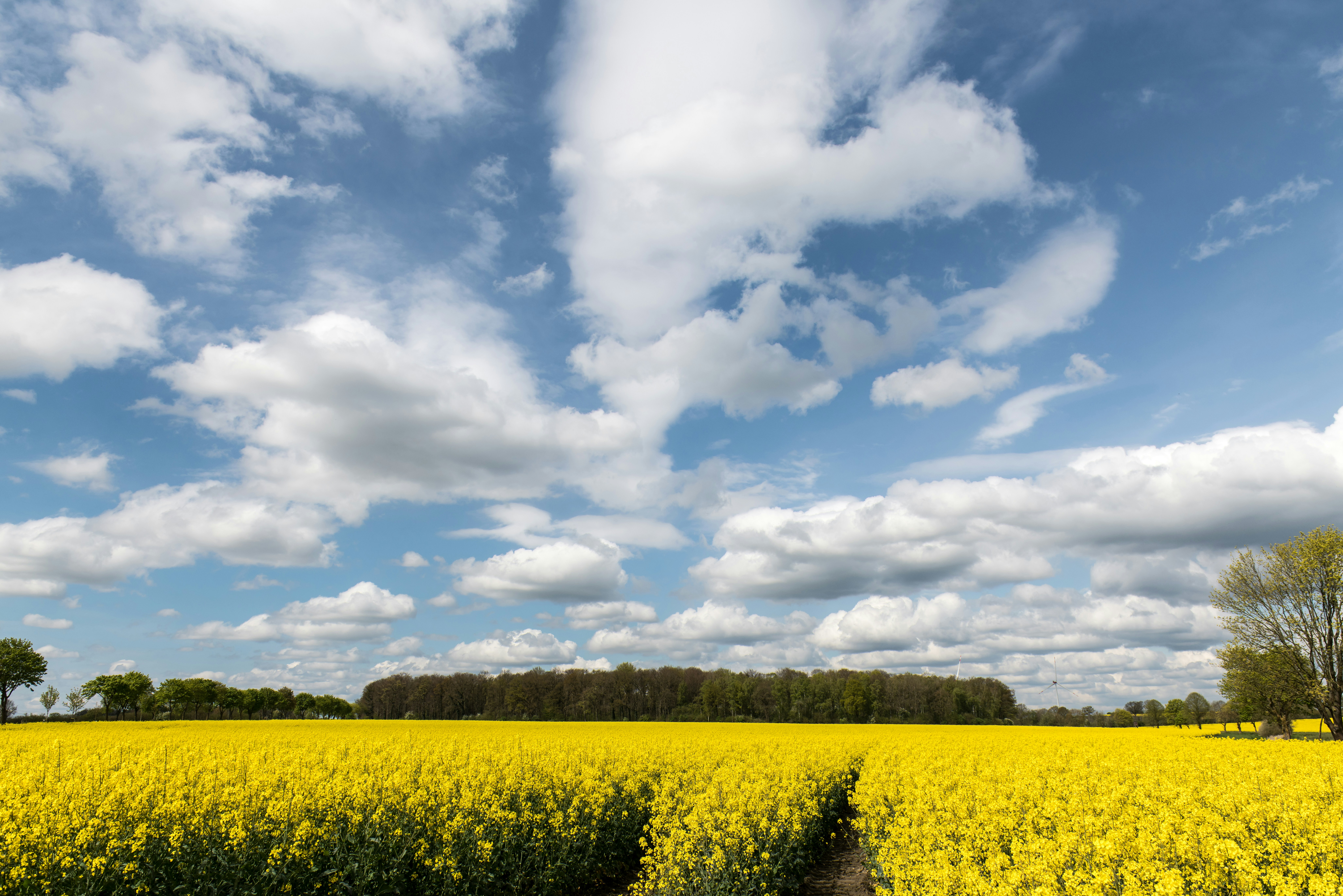 Photo by hamburgmeinefreundin