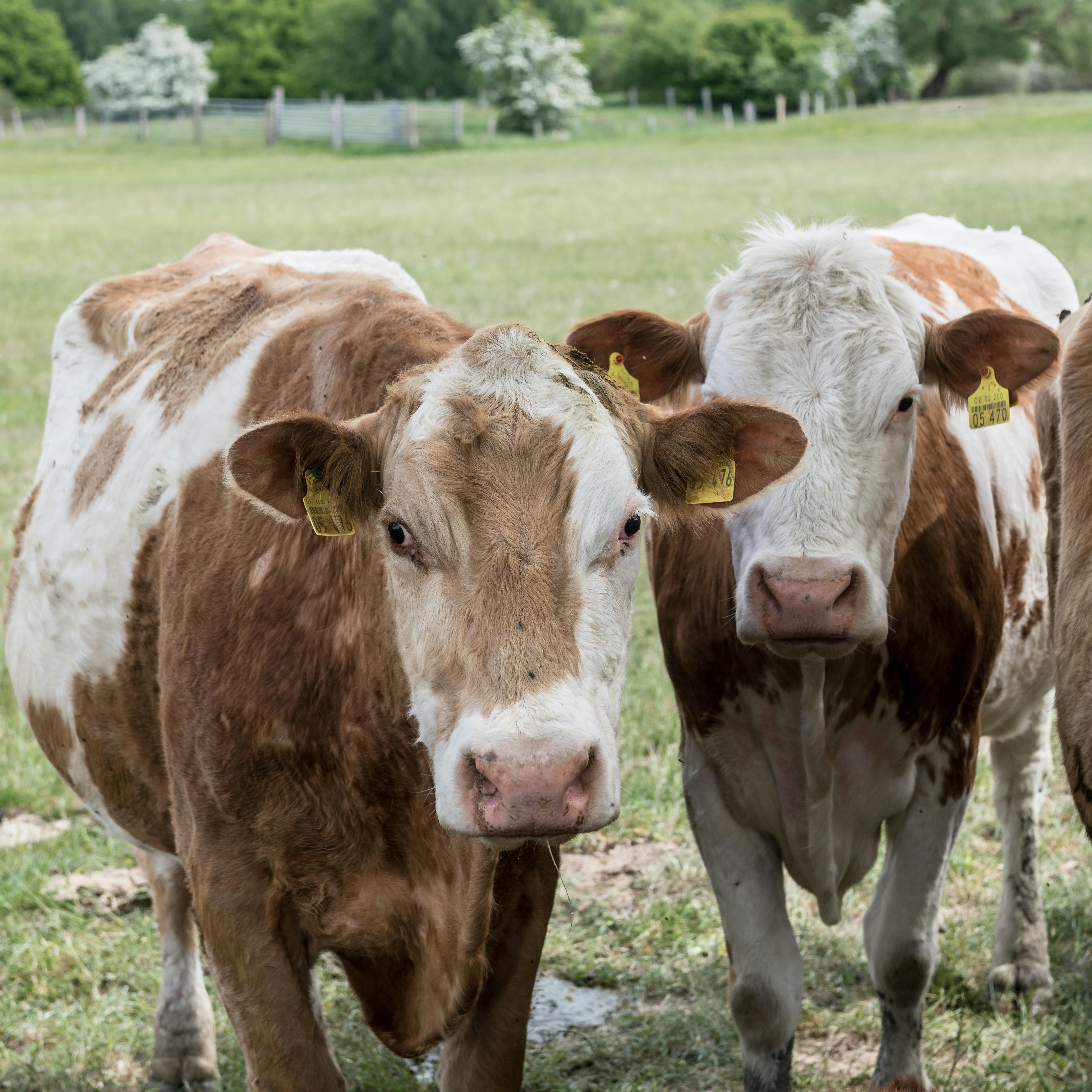 Photo by hamburgmeinefreundin