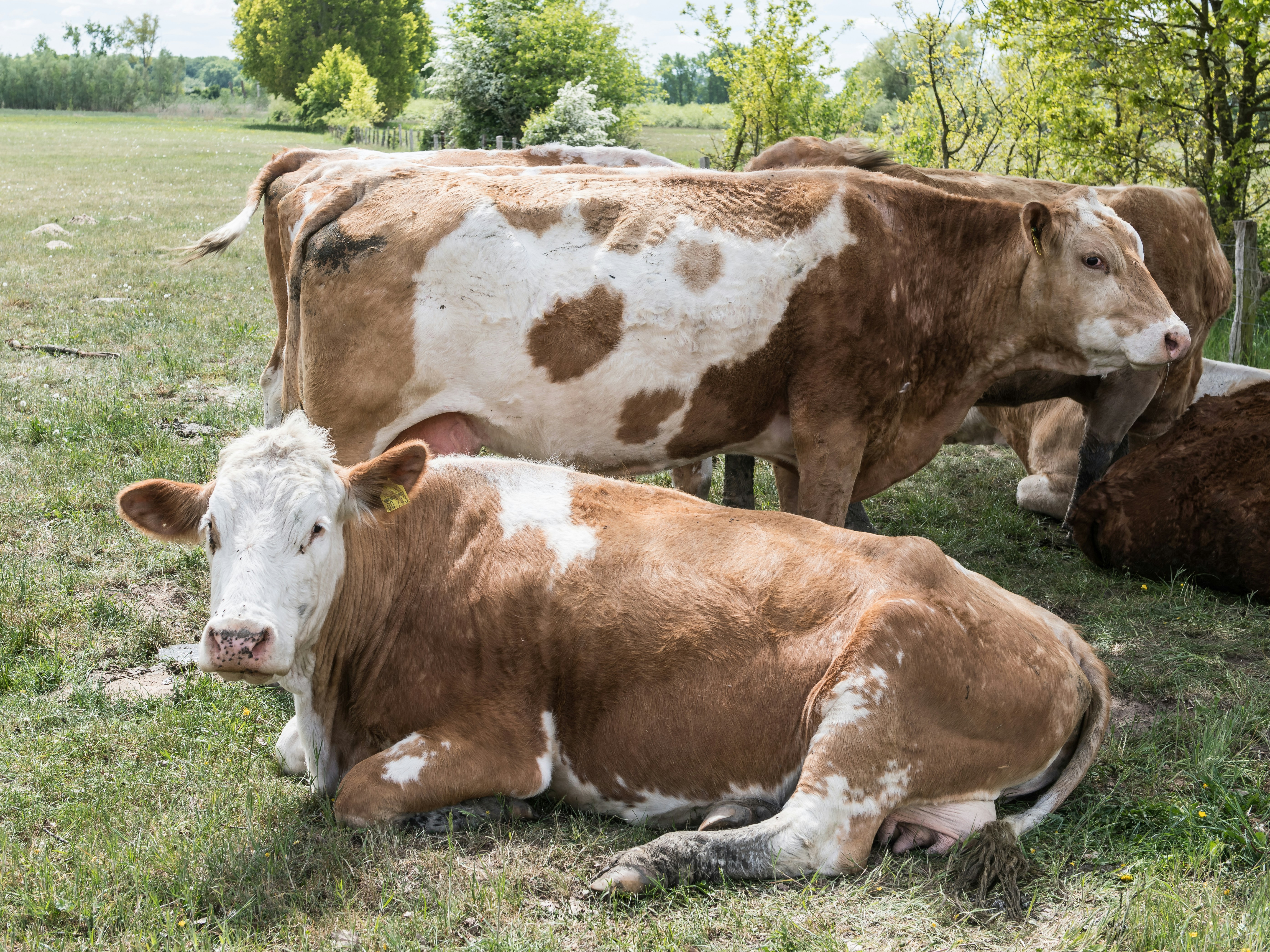 Photo by hamburgmeinefreundin