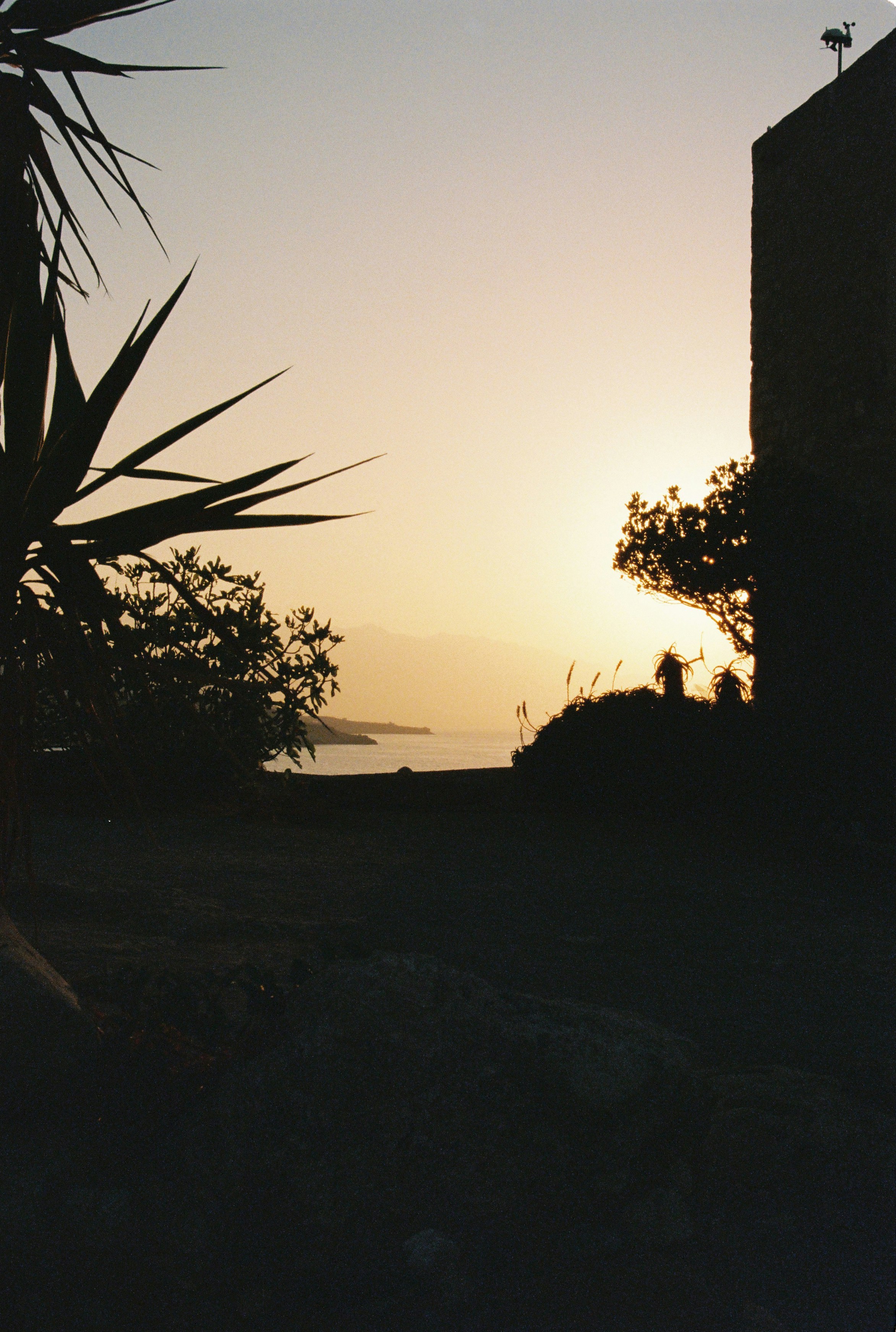 Sunset over the water, framed by silhouettes.