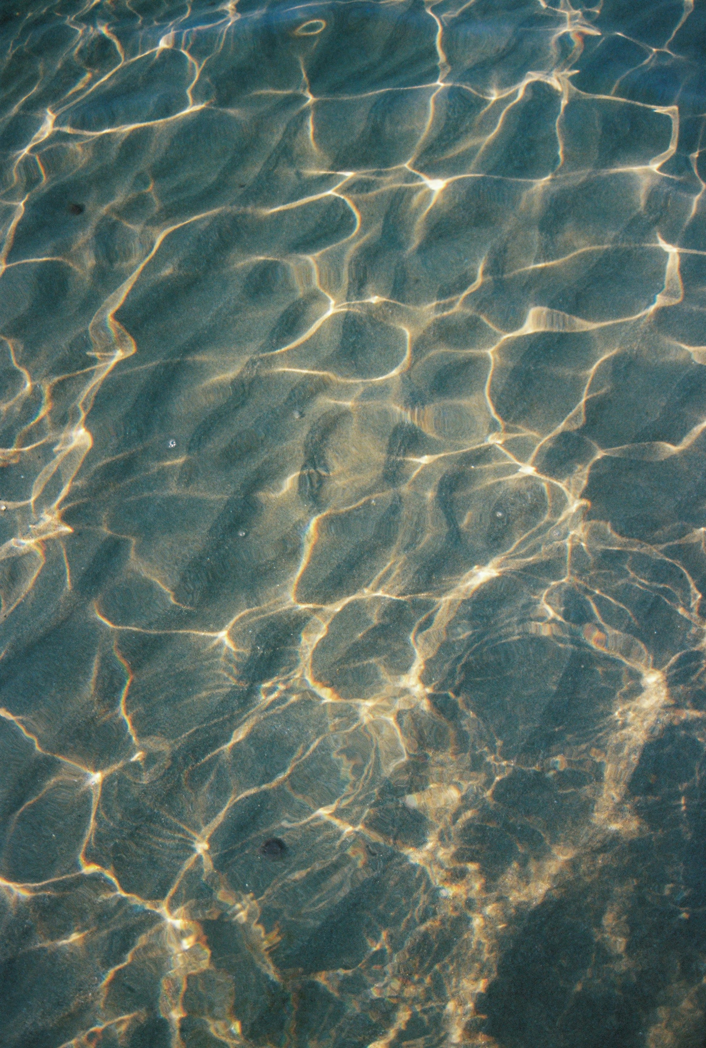 Photo by valeria_klys