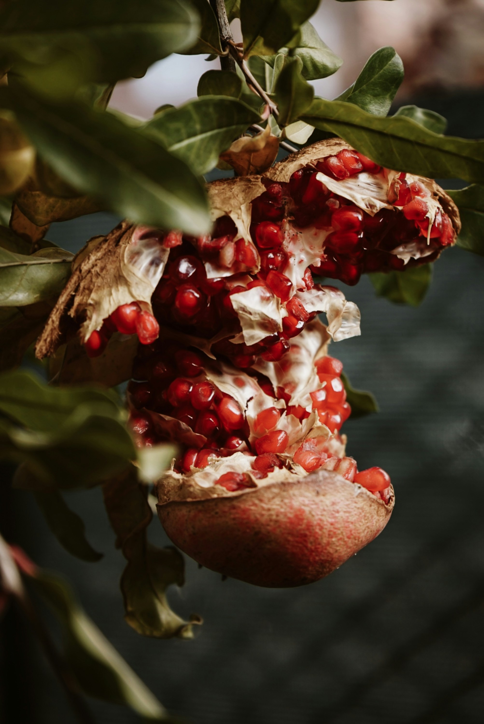 Photo by victoriasoll