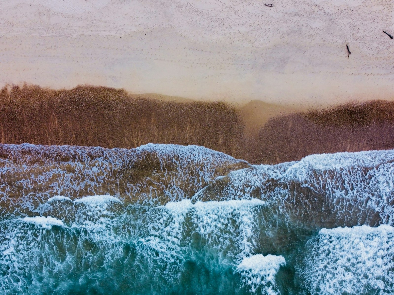 Plages d'Anglet et vagues atlantiques