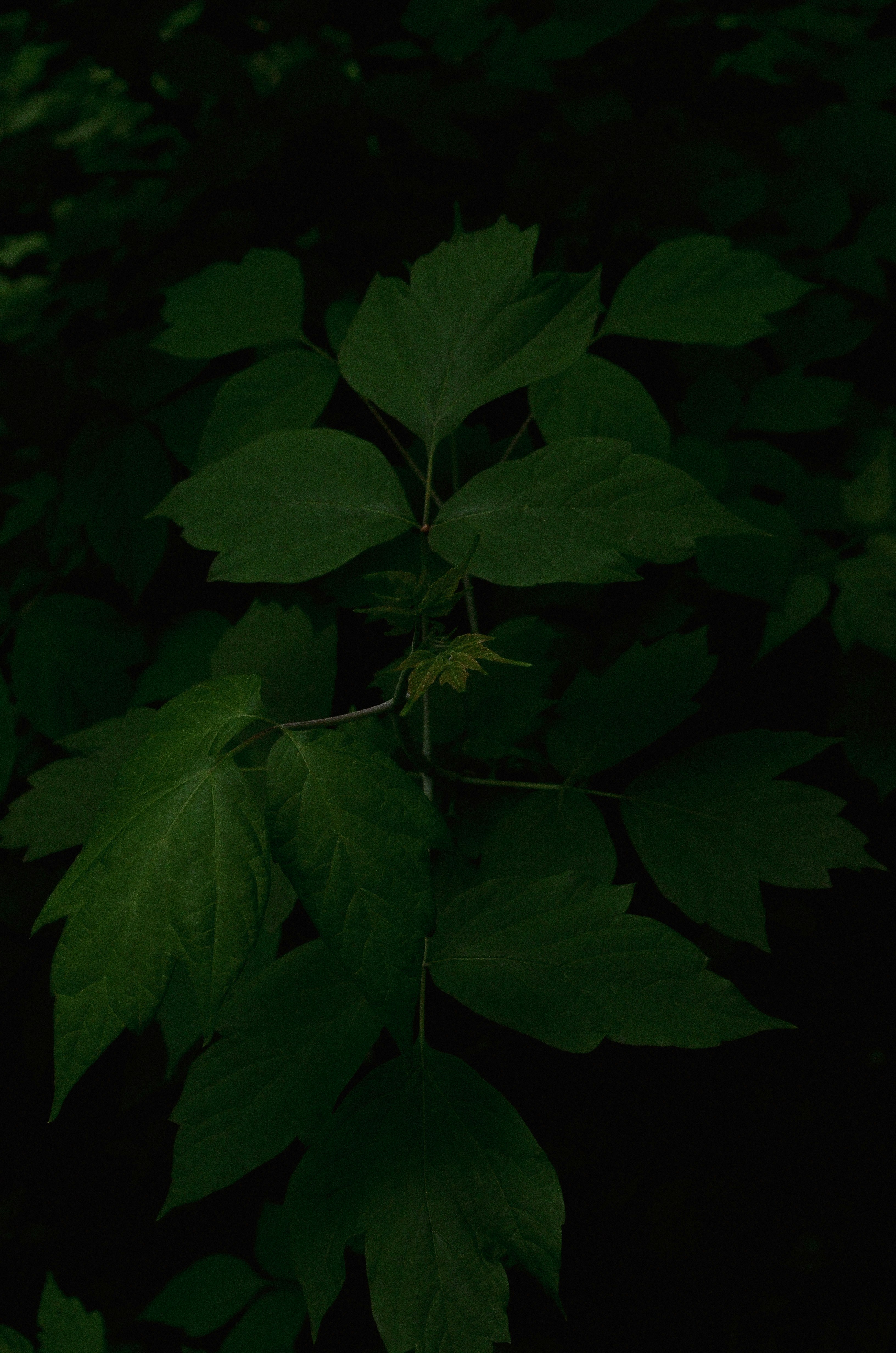 Photo by kseniakapyro