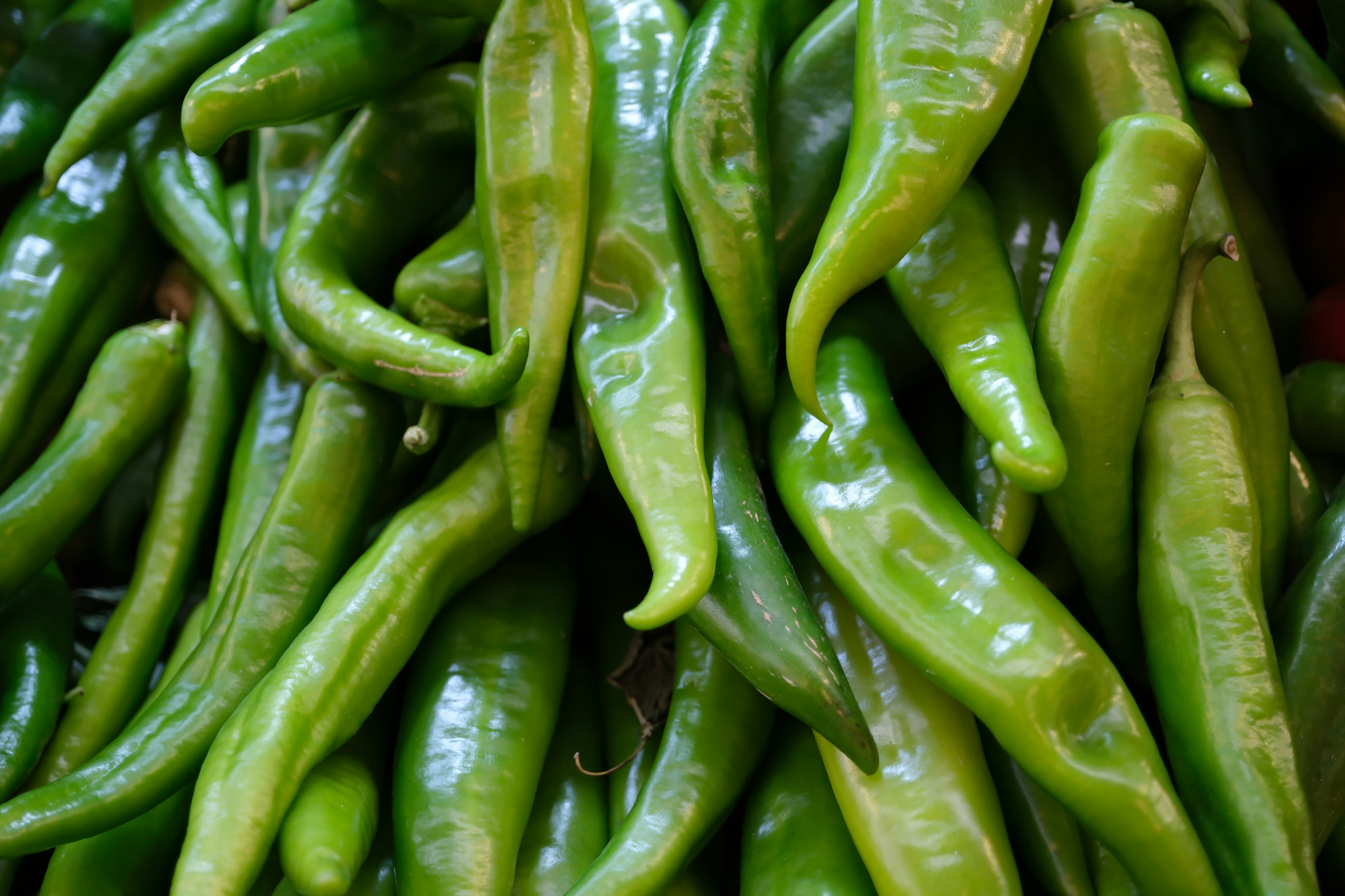 Green chili peppers are piled together closely.