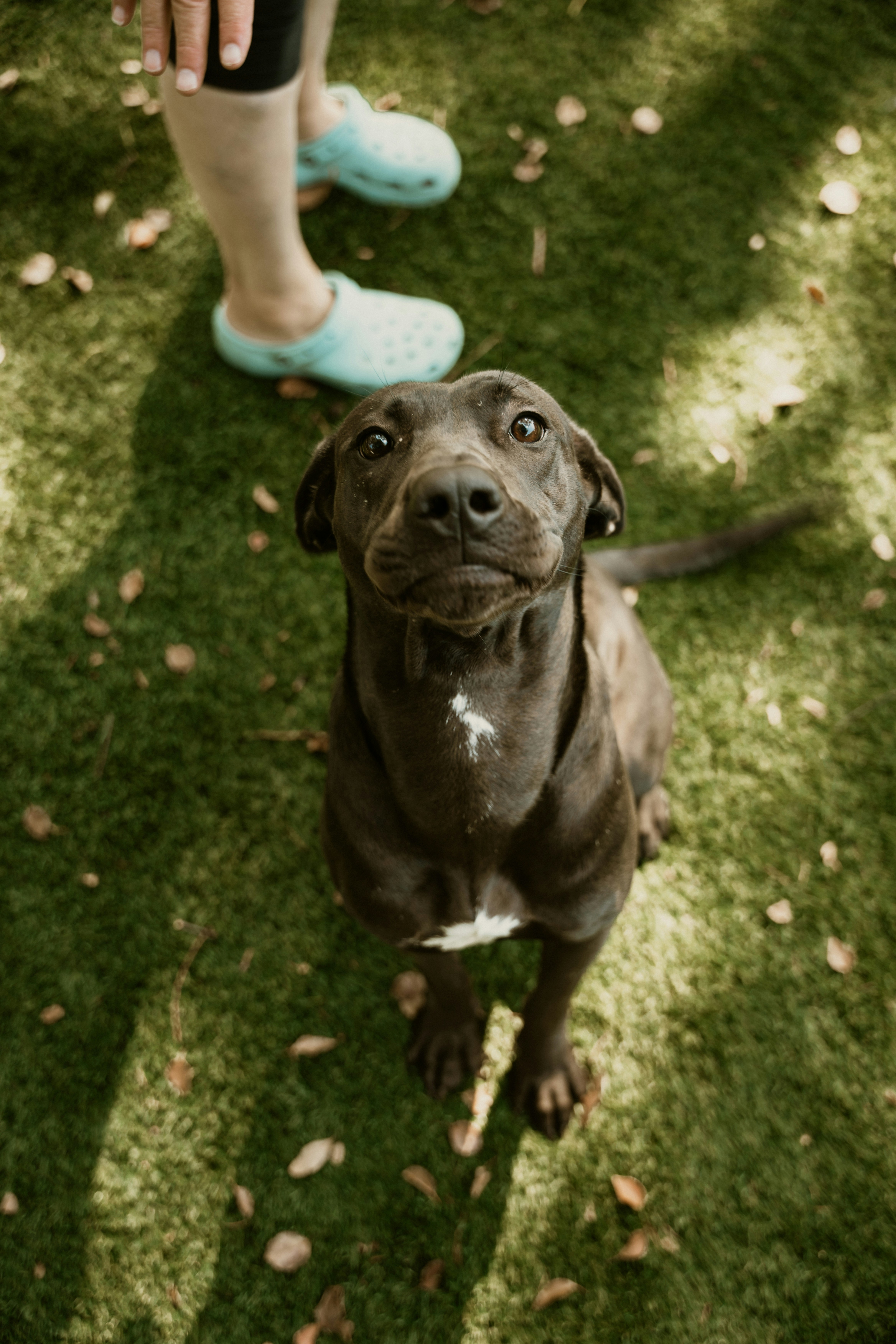 Photo by bradikanmedia