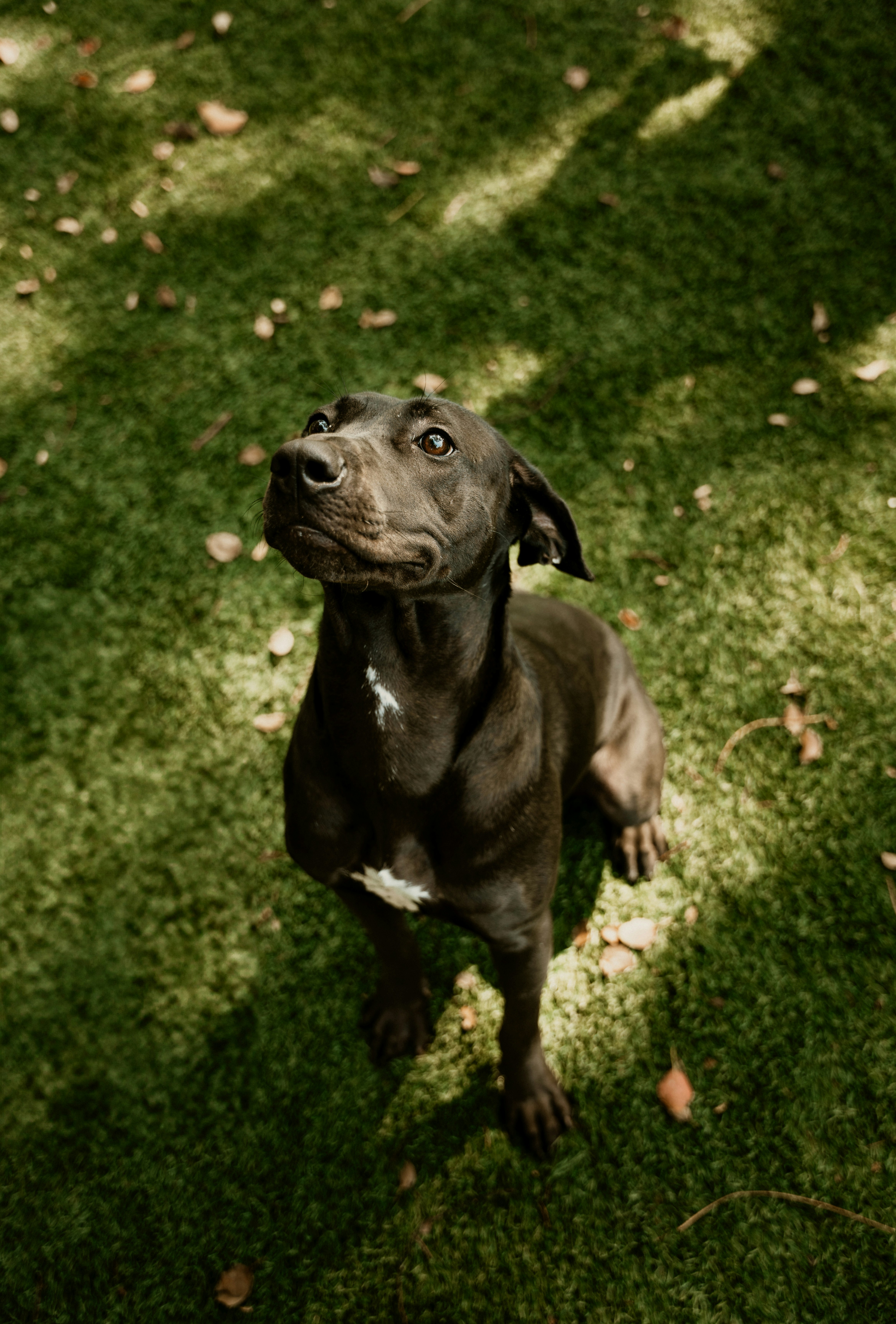 Photo by bradikanmedia