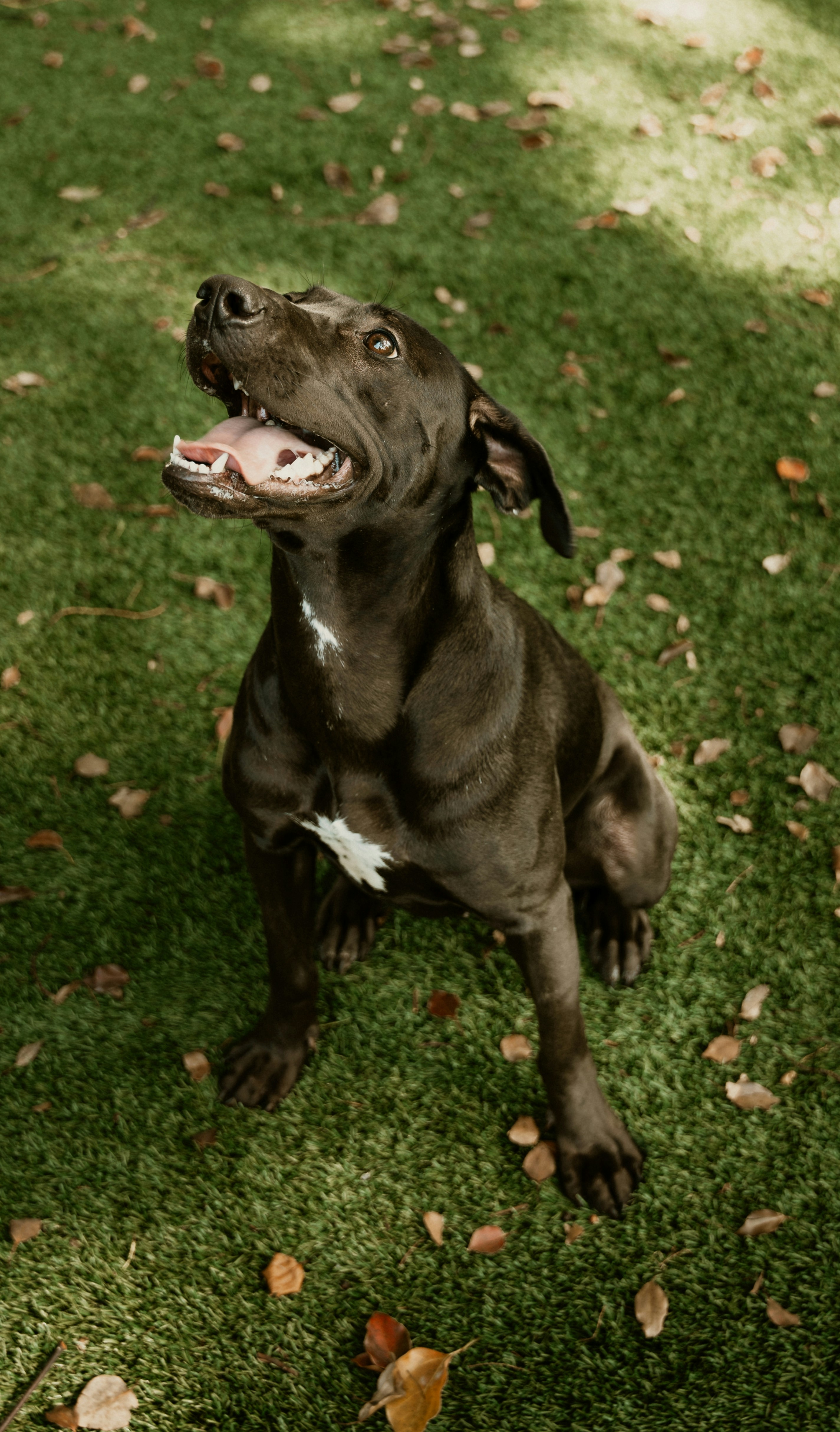 Photo by bradikanmedia