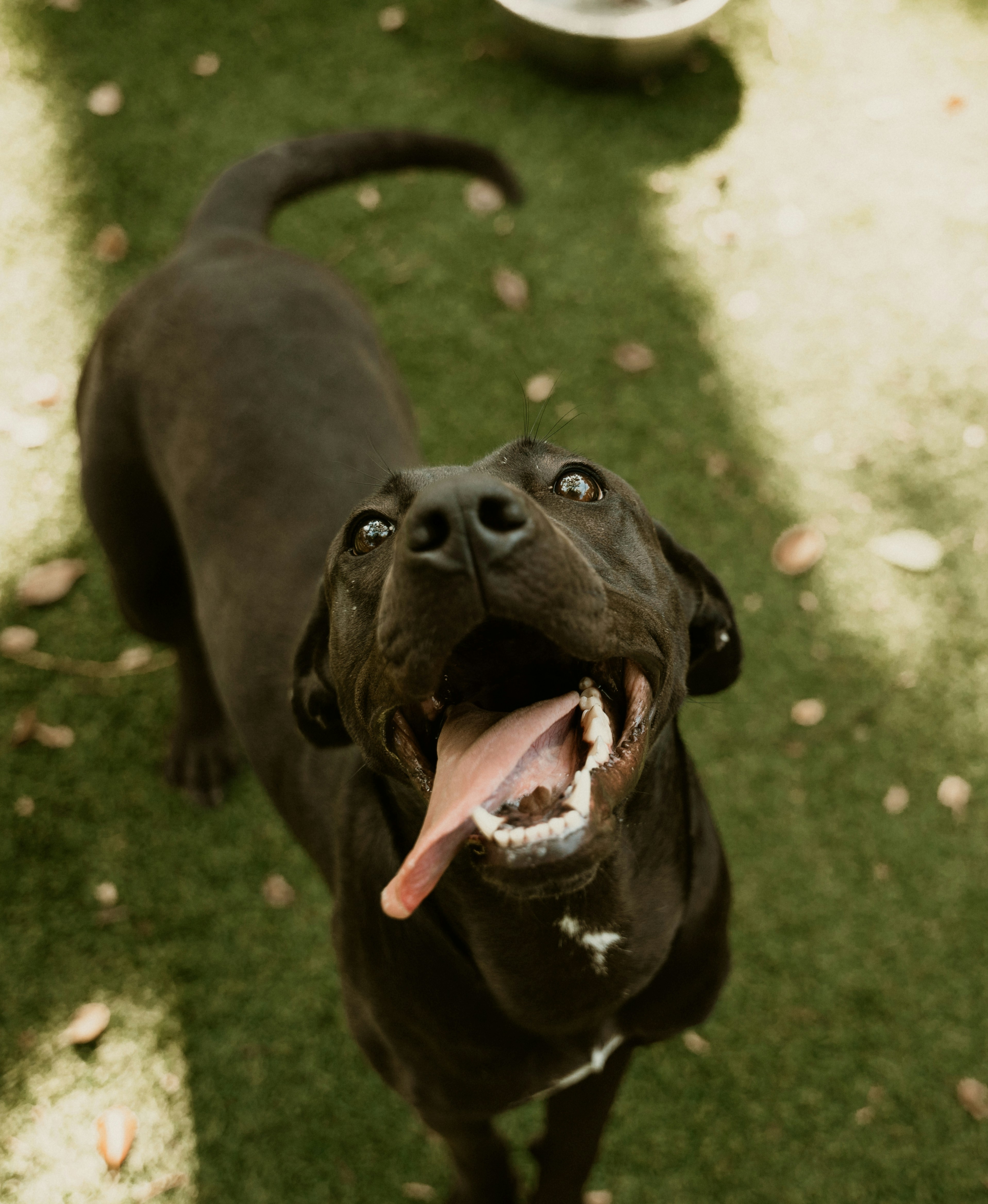 Photo by bradikanmedia