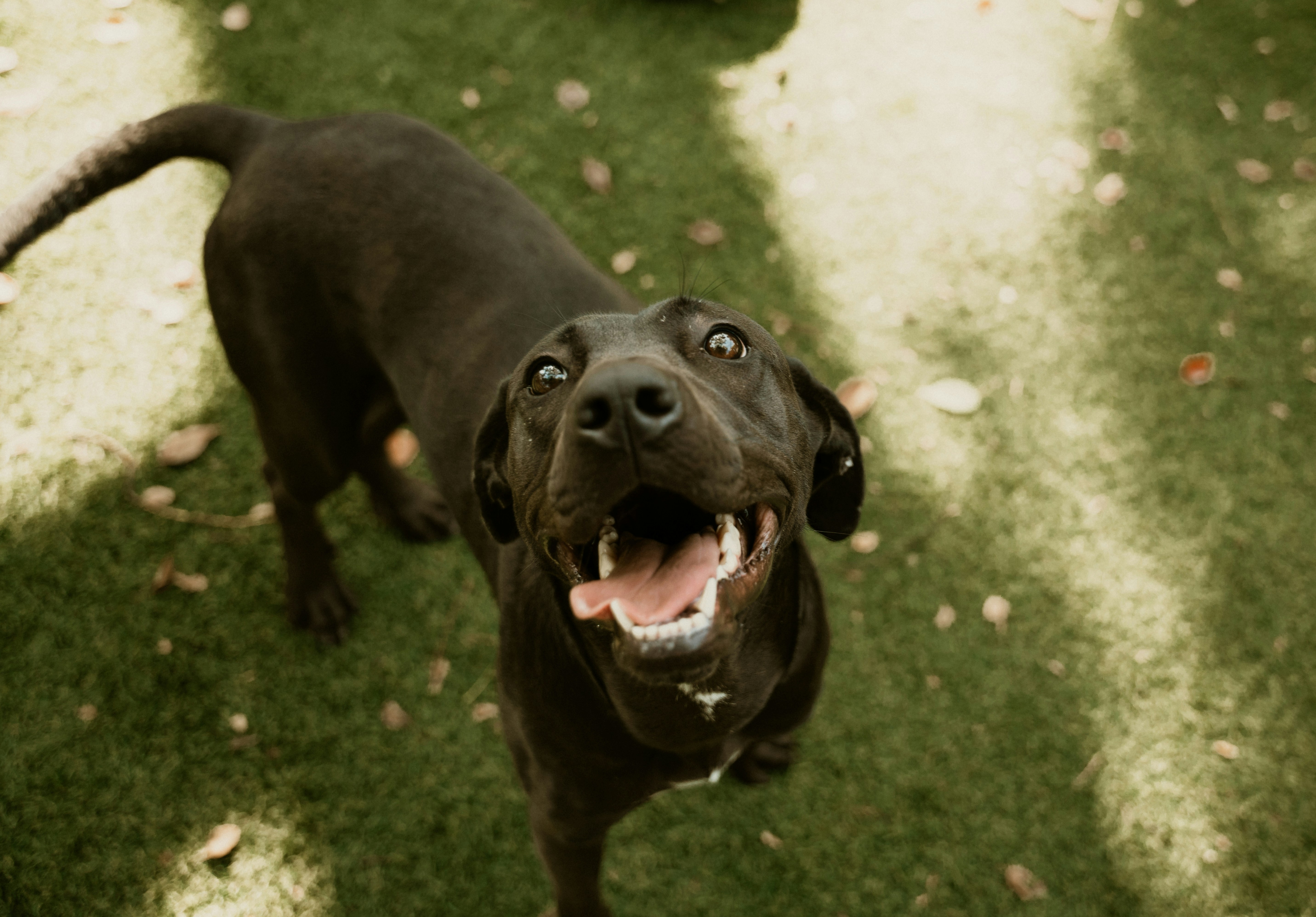 Photo by bradikanmedia