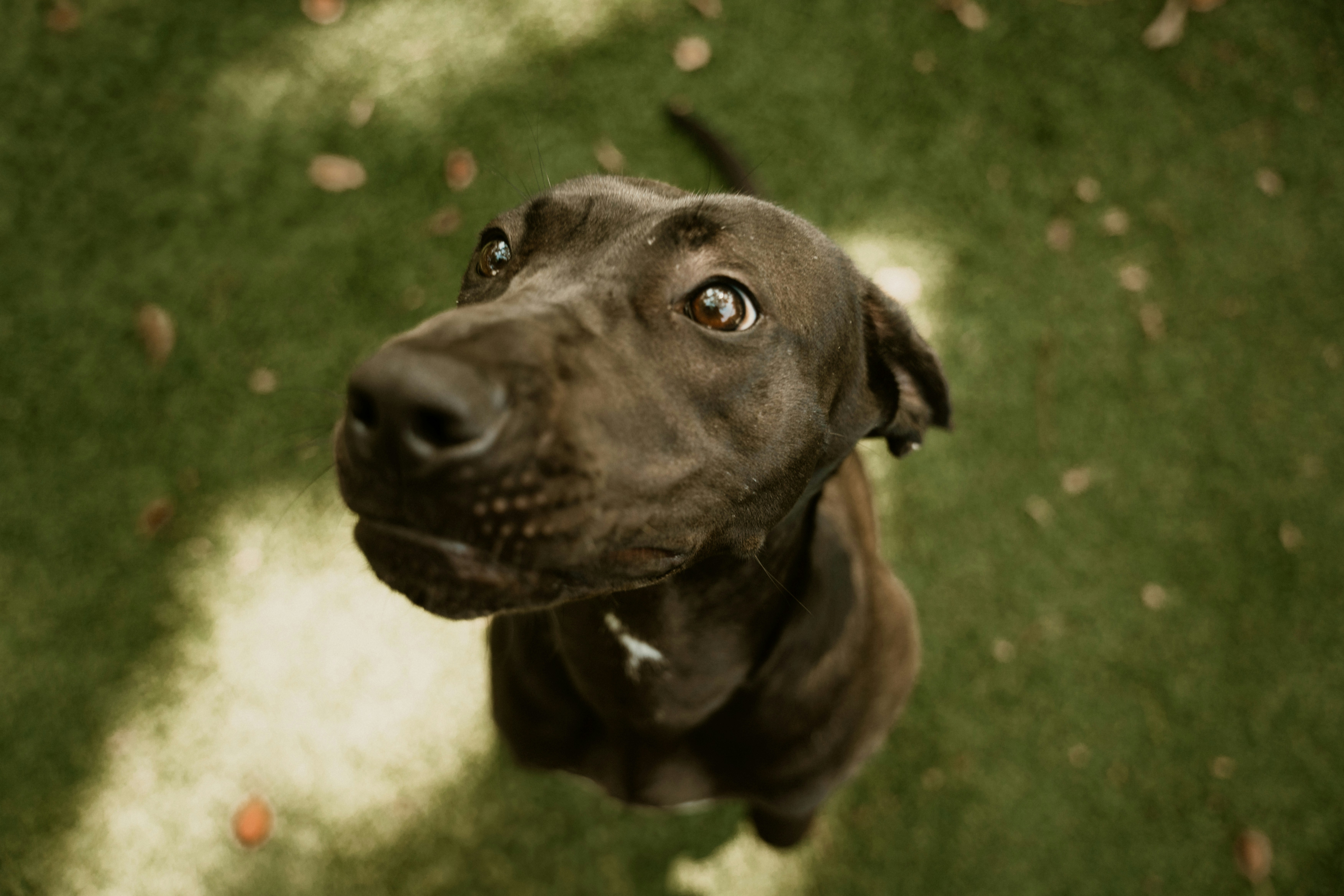 Photo by bradikanmedia