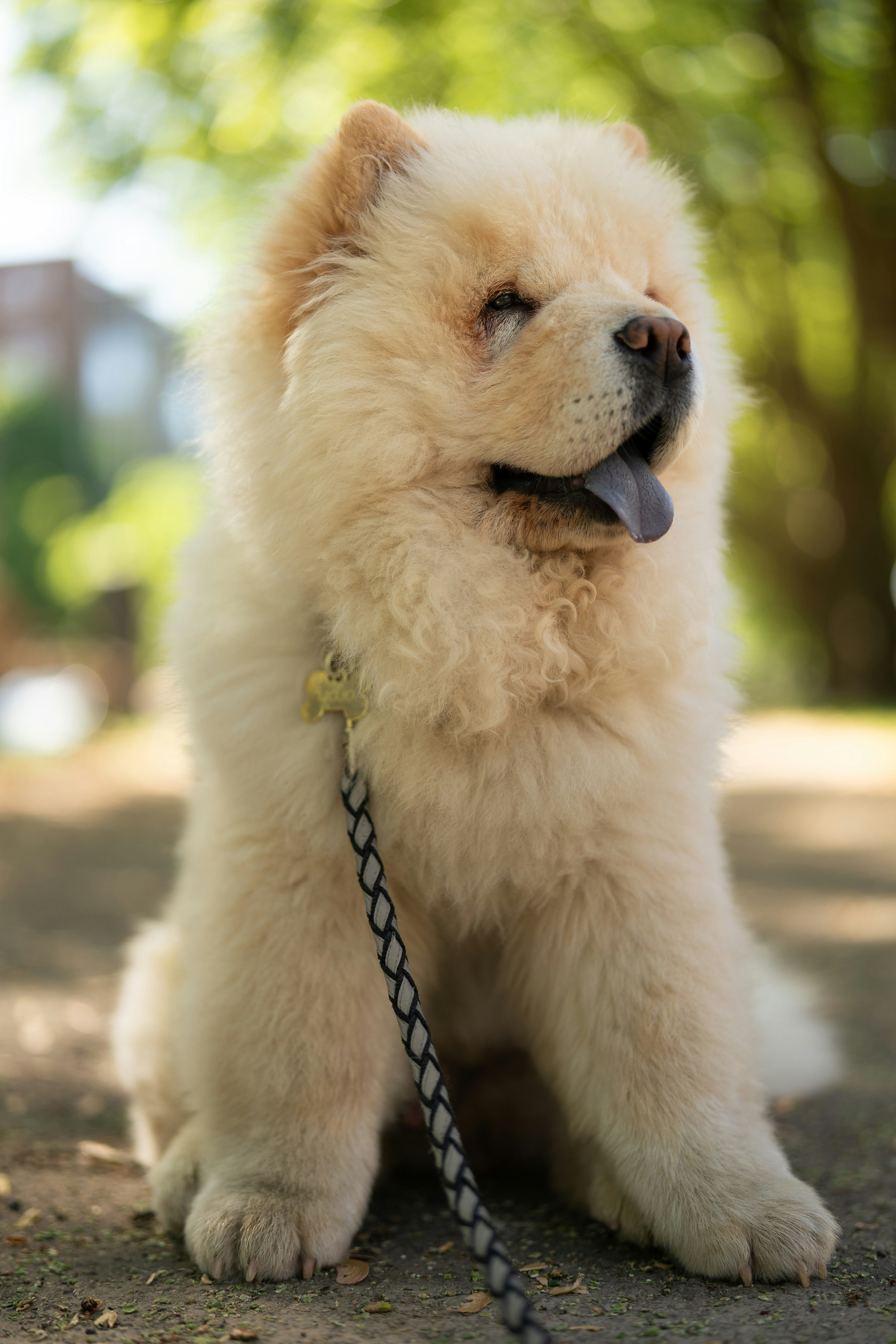 Photo by javiestebaan