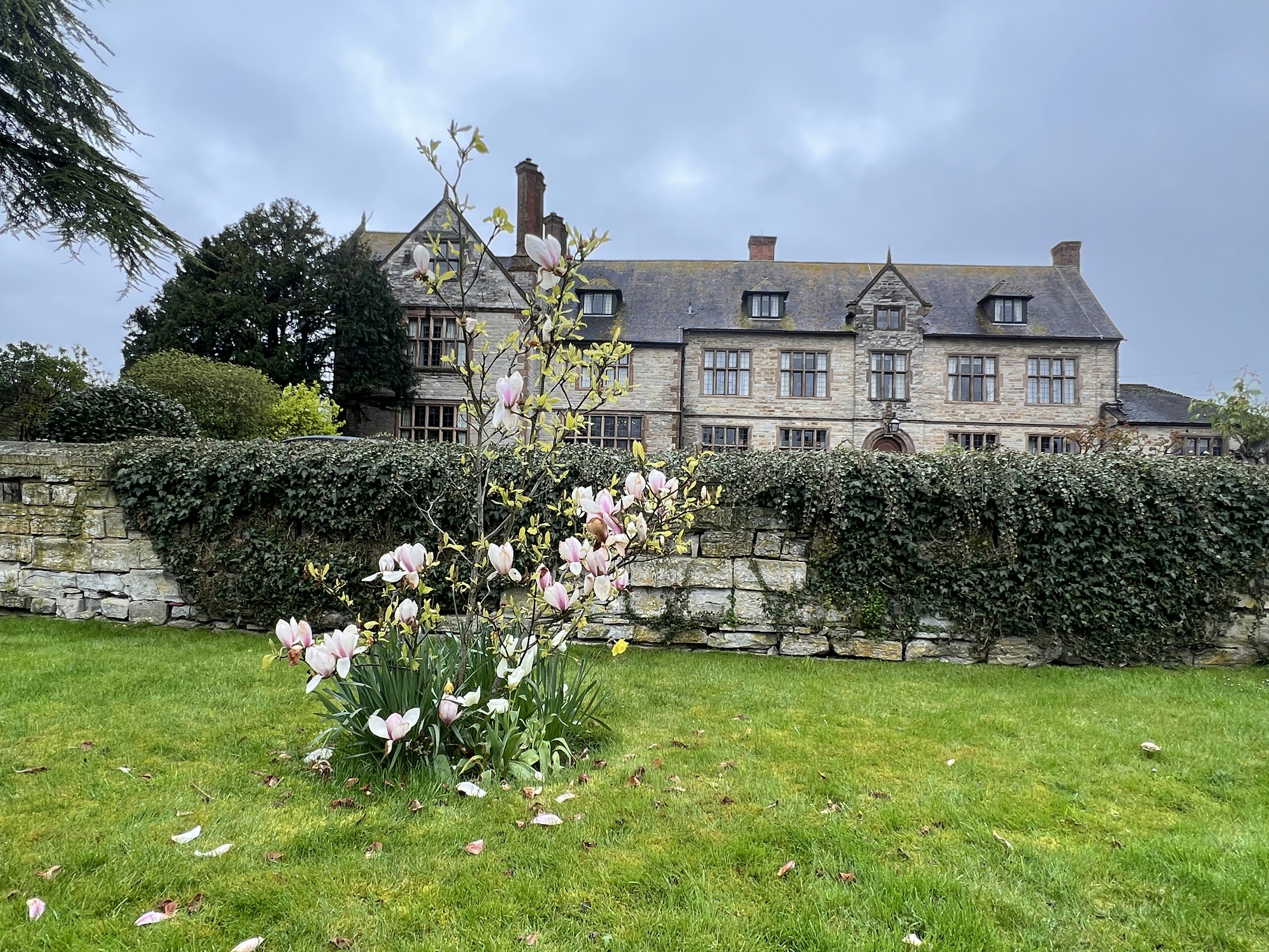 Photo by tanyabarrow