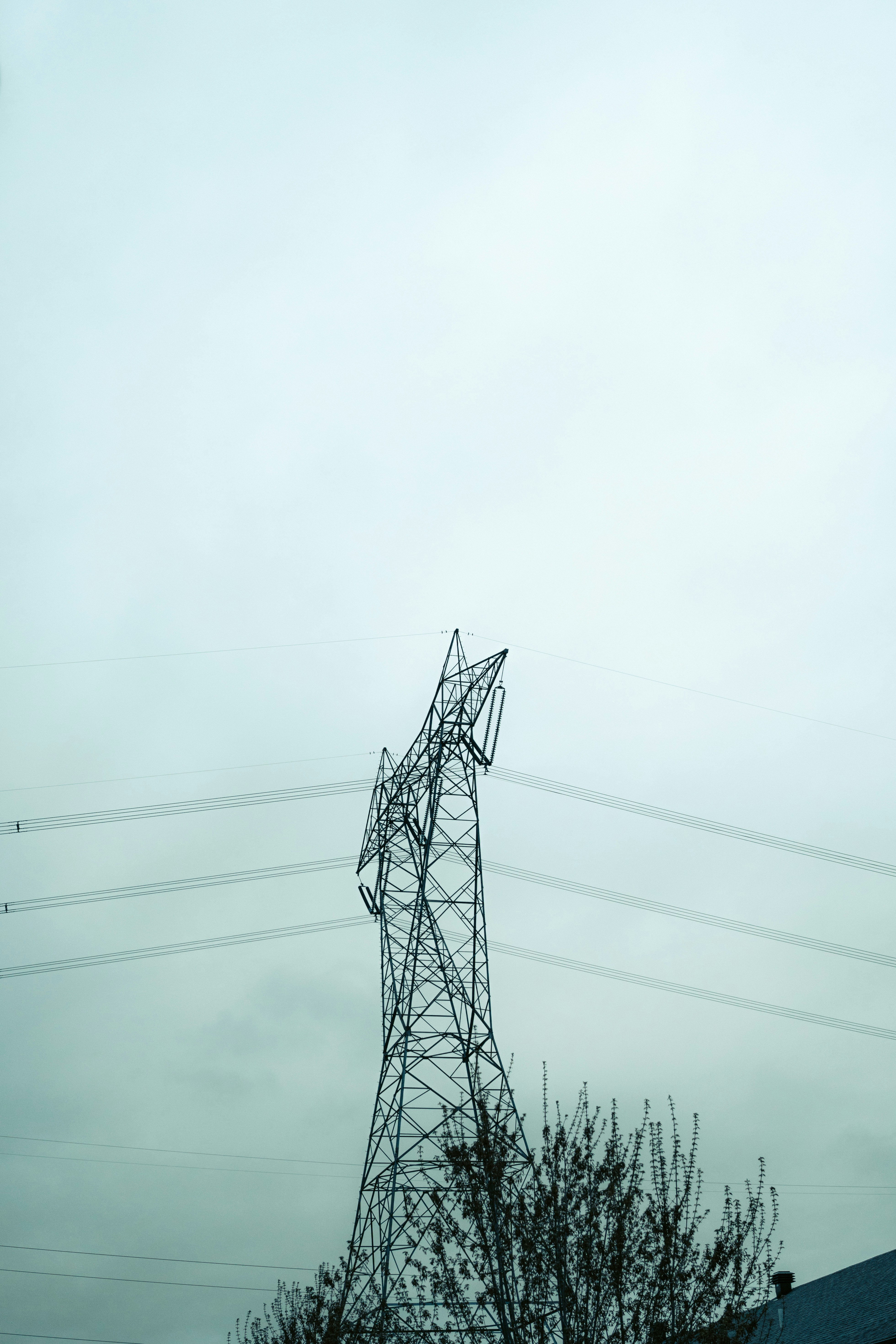 Photo by user90807060