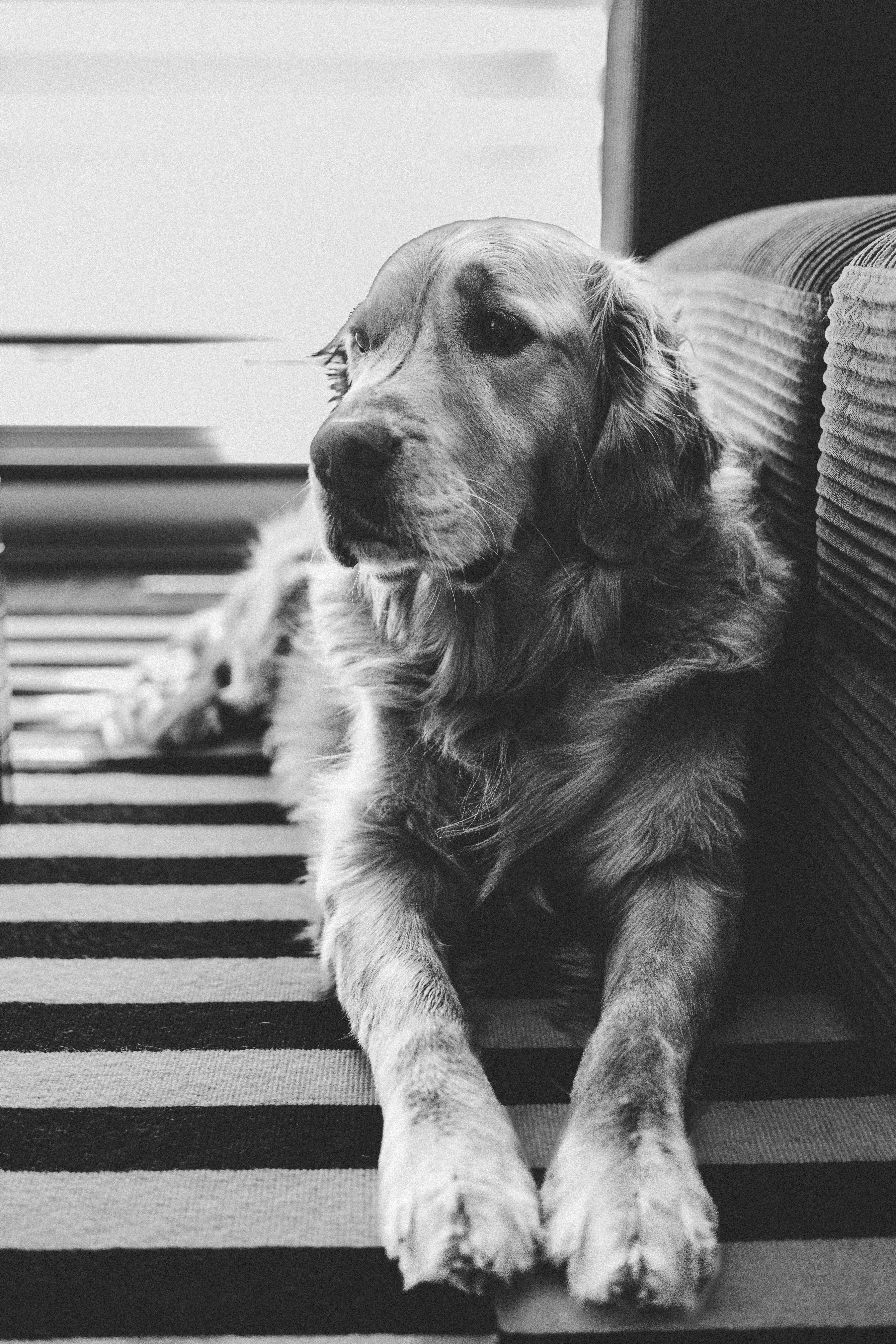 Photo by user90807060