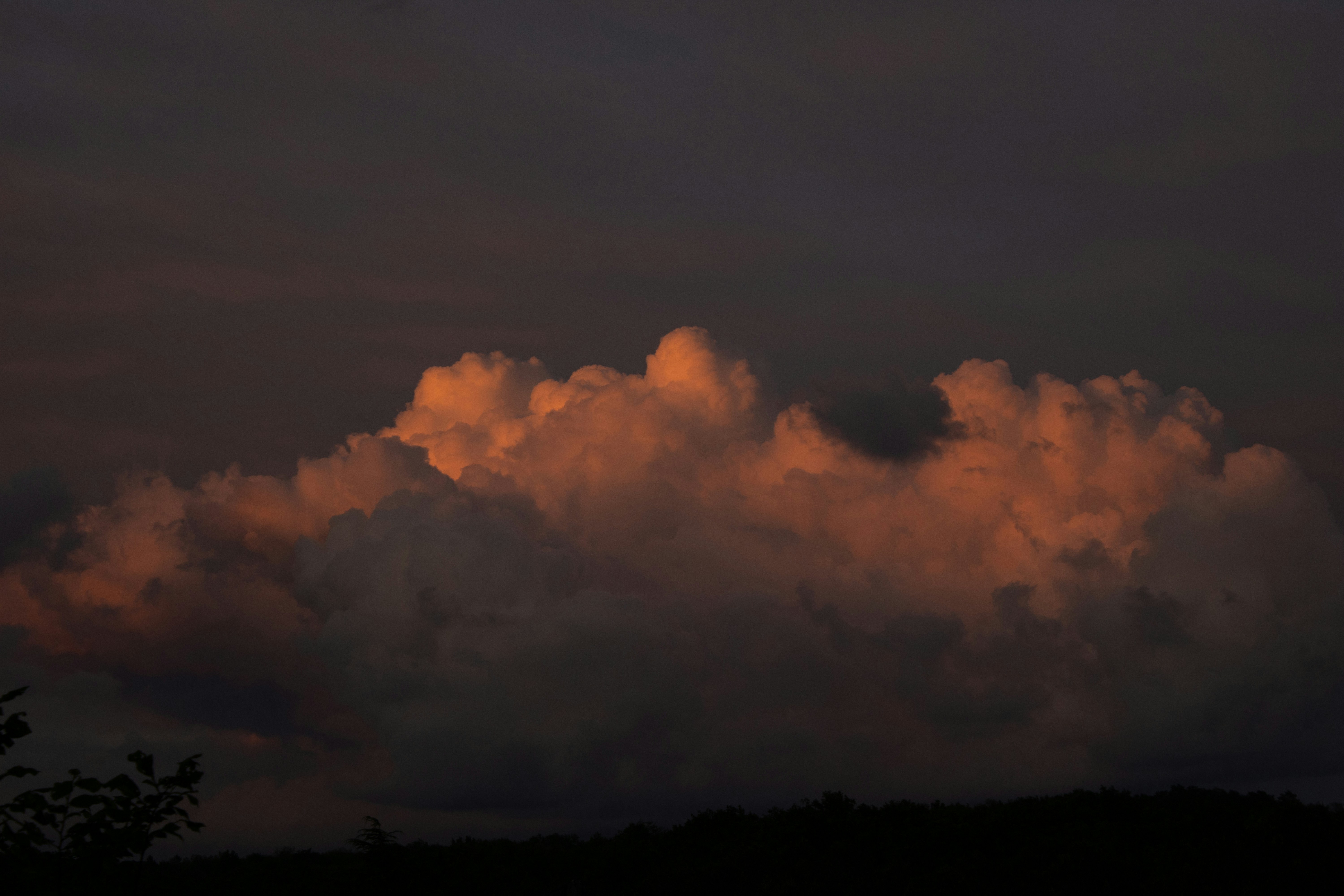 Photo by adrianus_merus