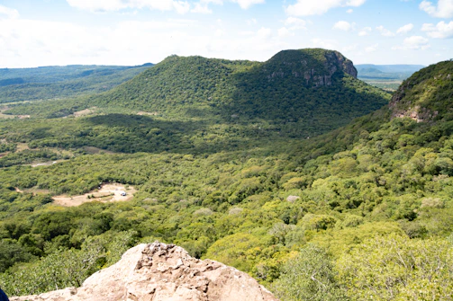 Green landscape with hills and trees.