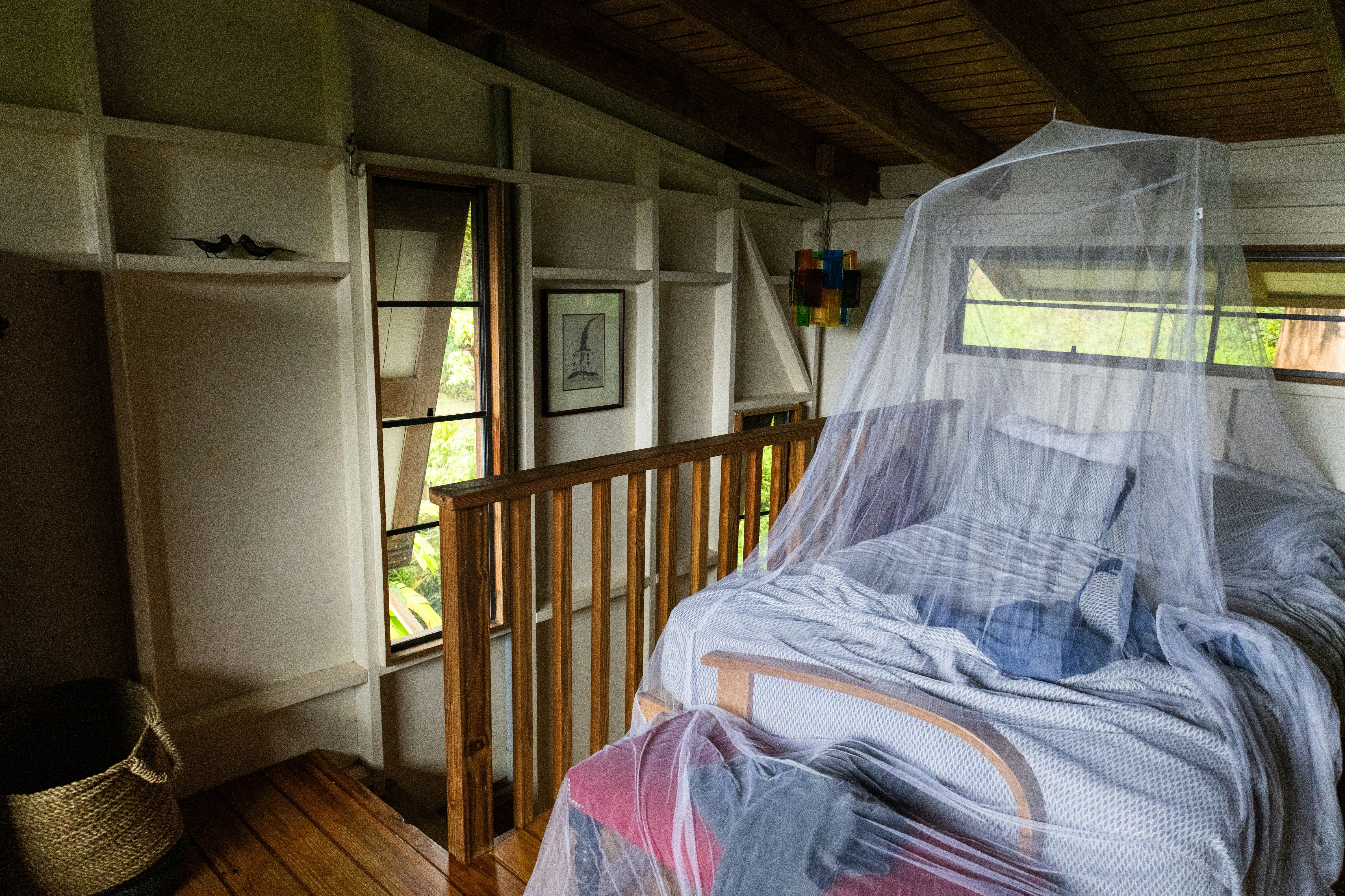 Cozy bedroom with a mosquito net.