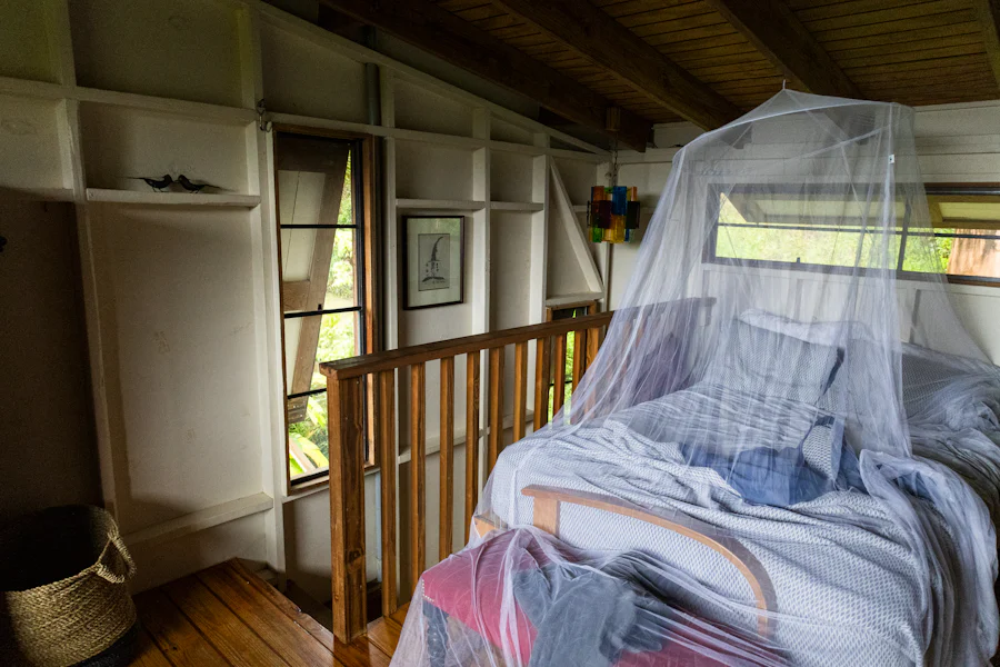 Guest room with a mosquito net over the bed