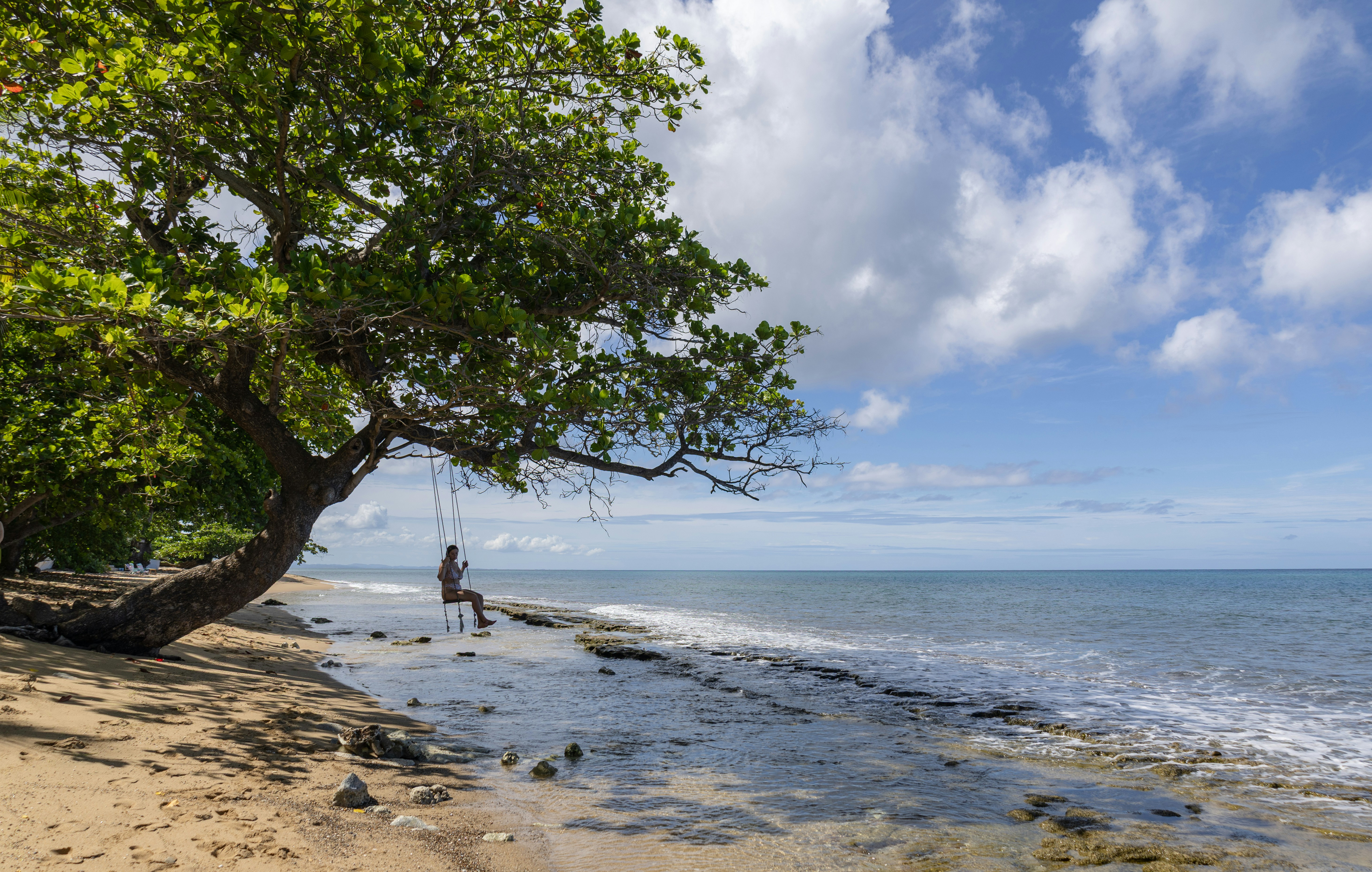 Person swings on a tree swing by the beach.