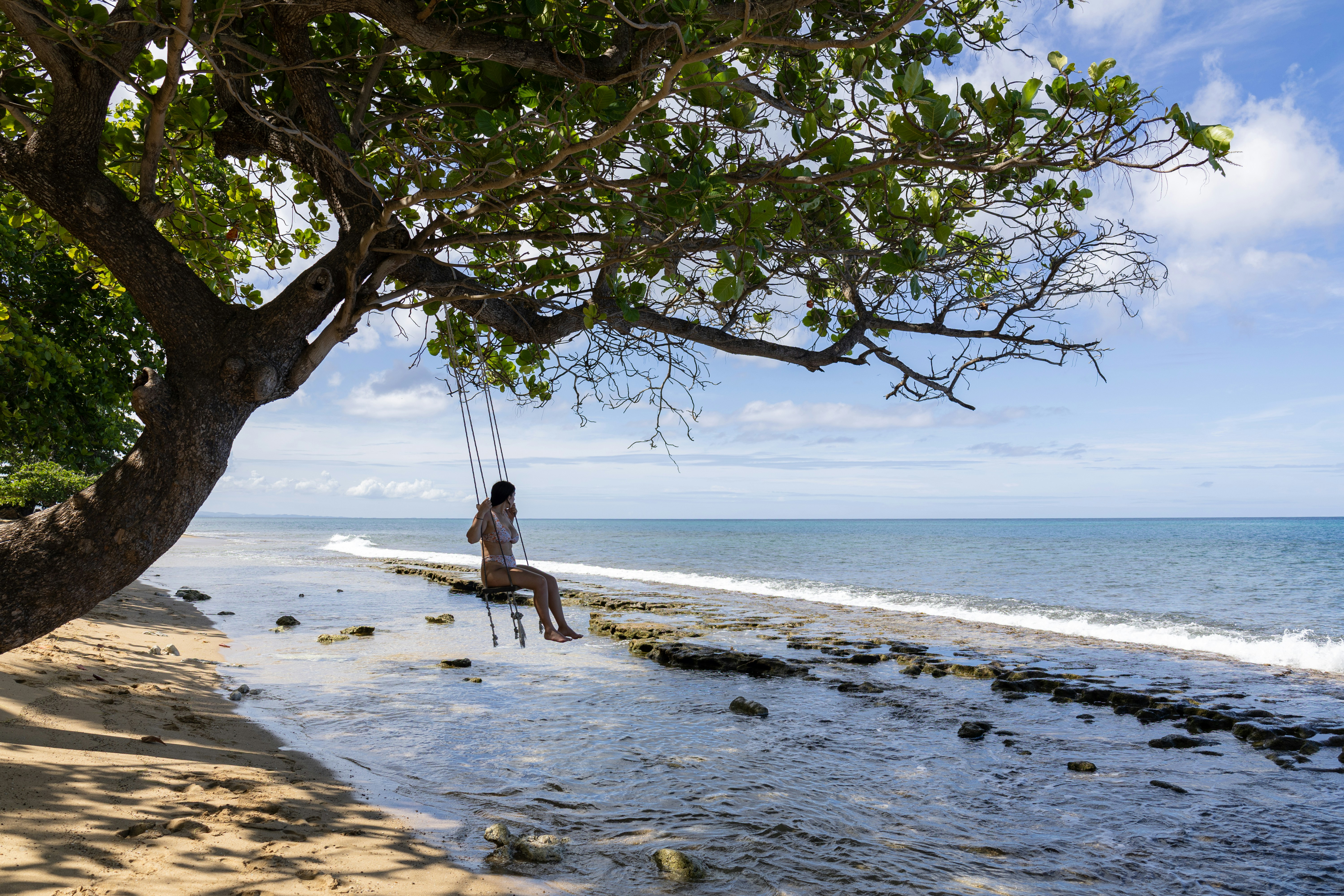Woman swings under a tree at the beach.