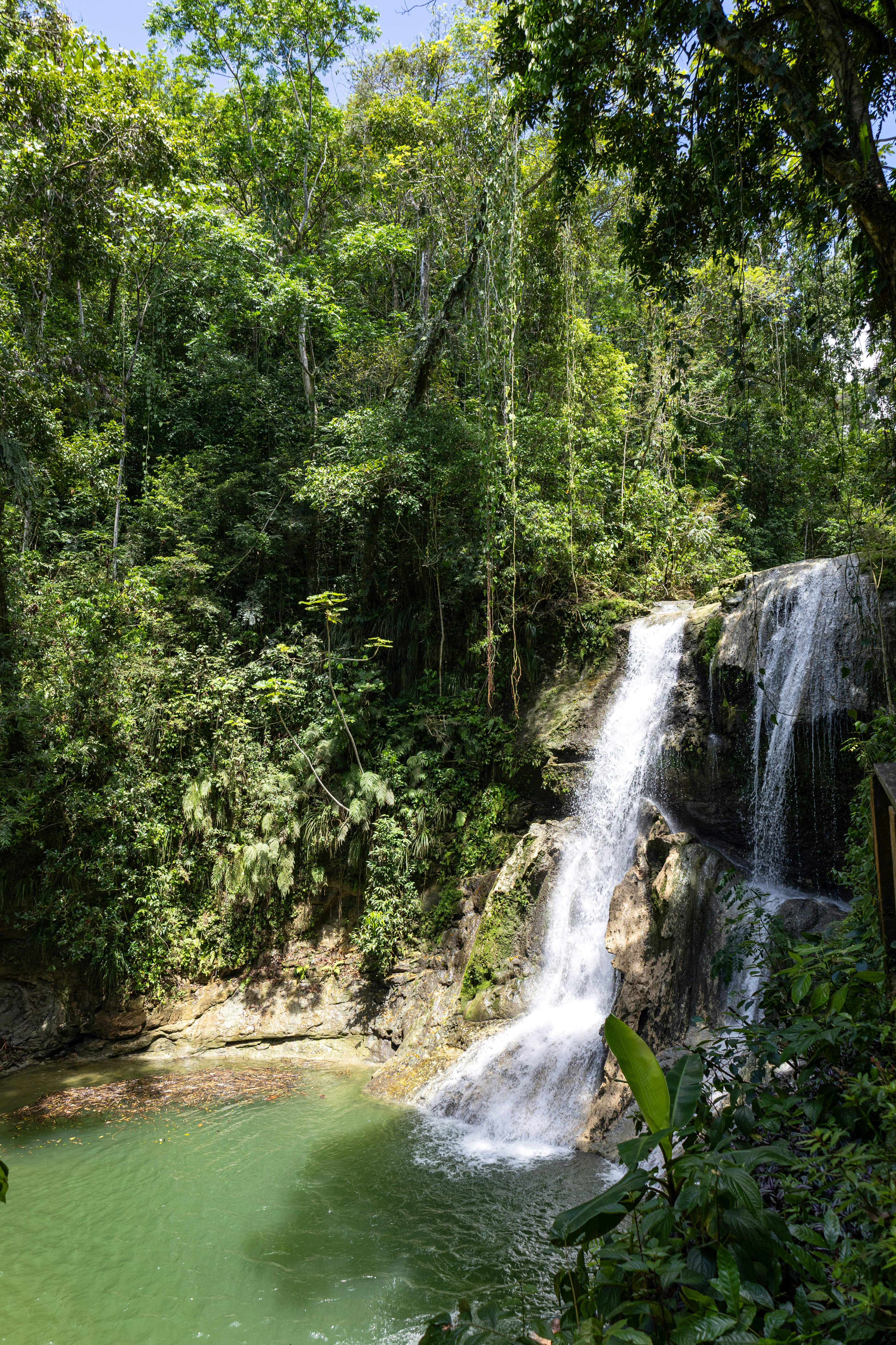 Waterfall cascades into a lush, green pool.