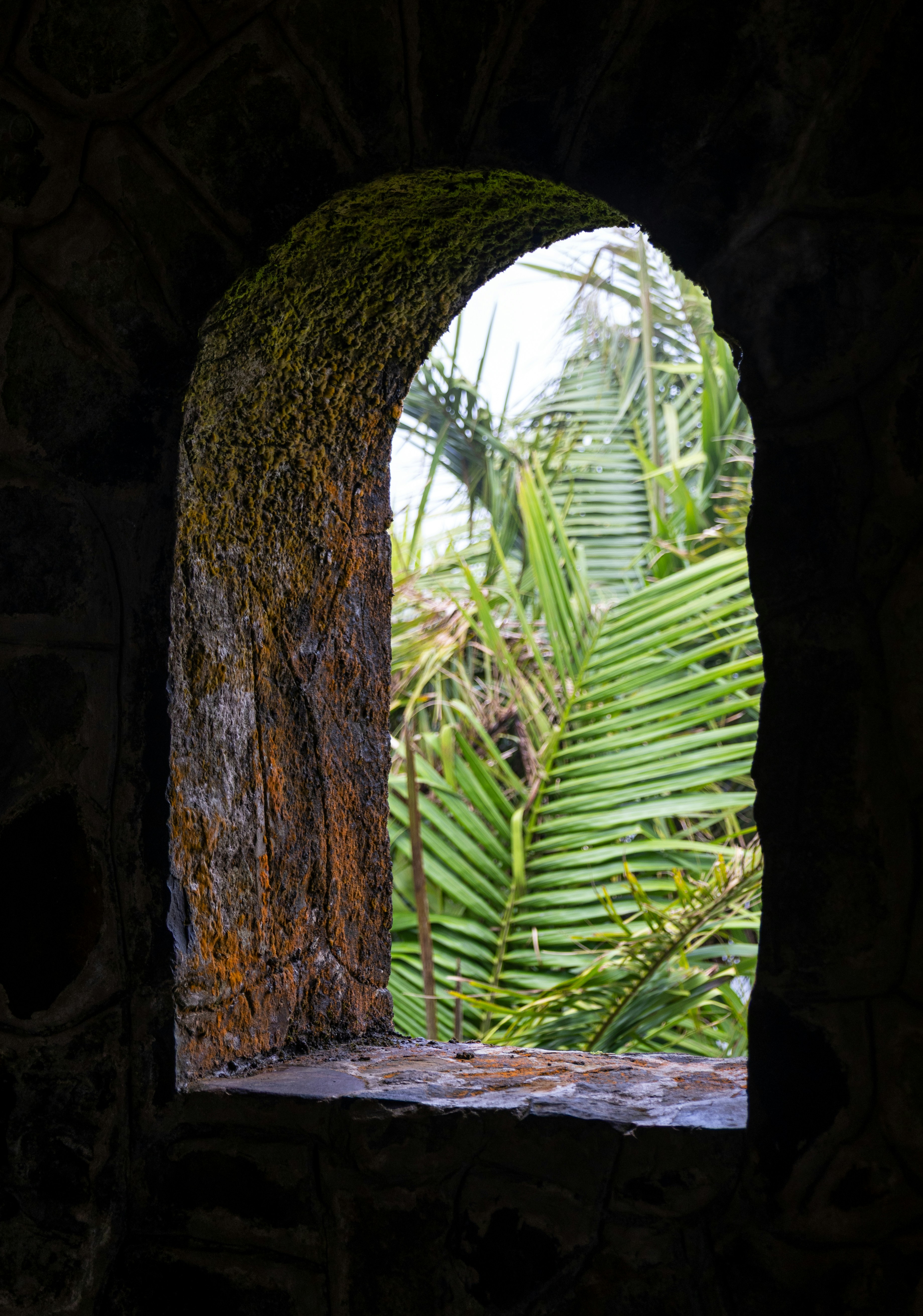 A stone window frames lush green foliage.