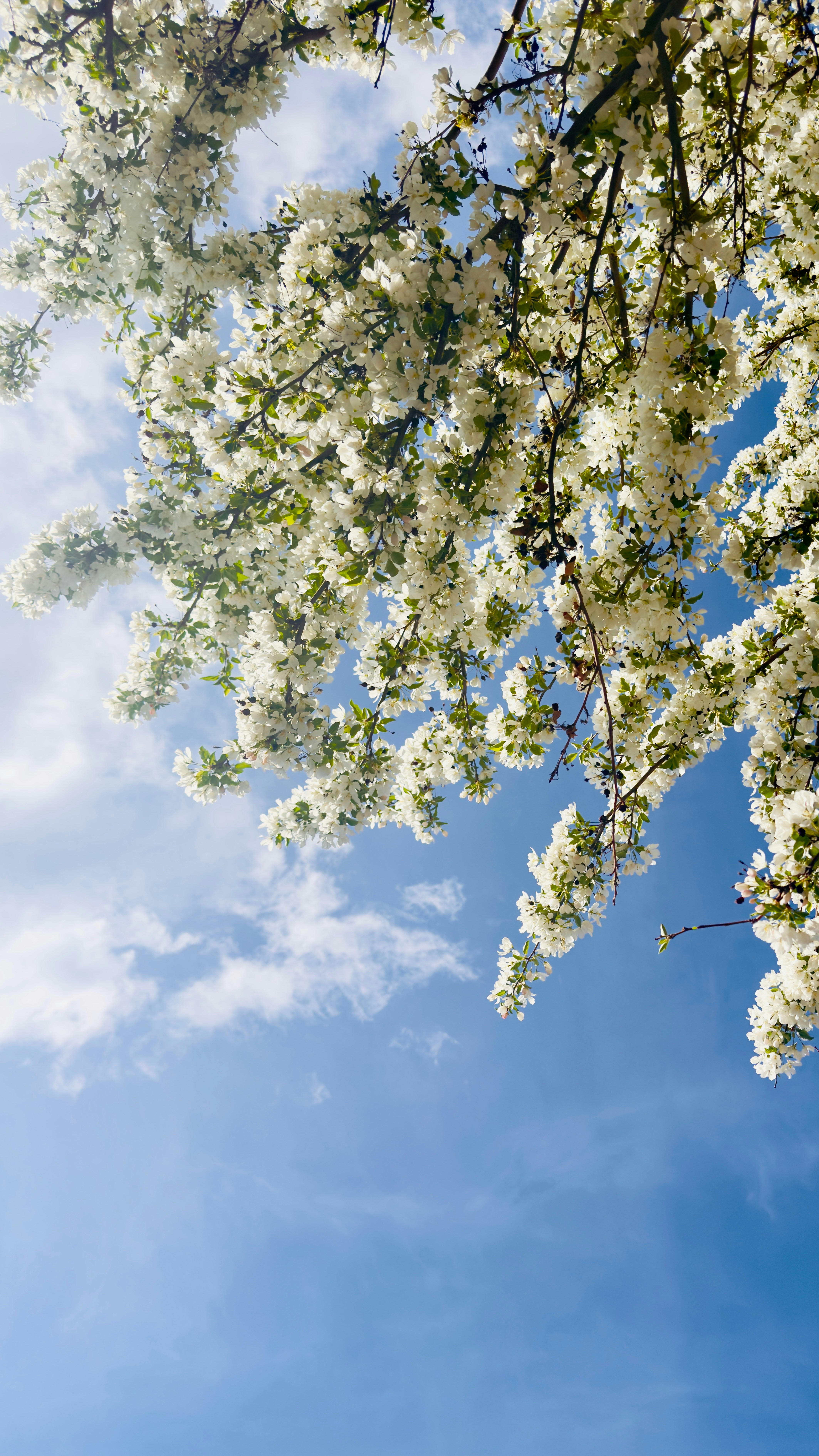 Photo by sangam_sharma