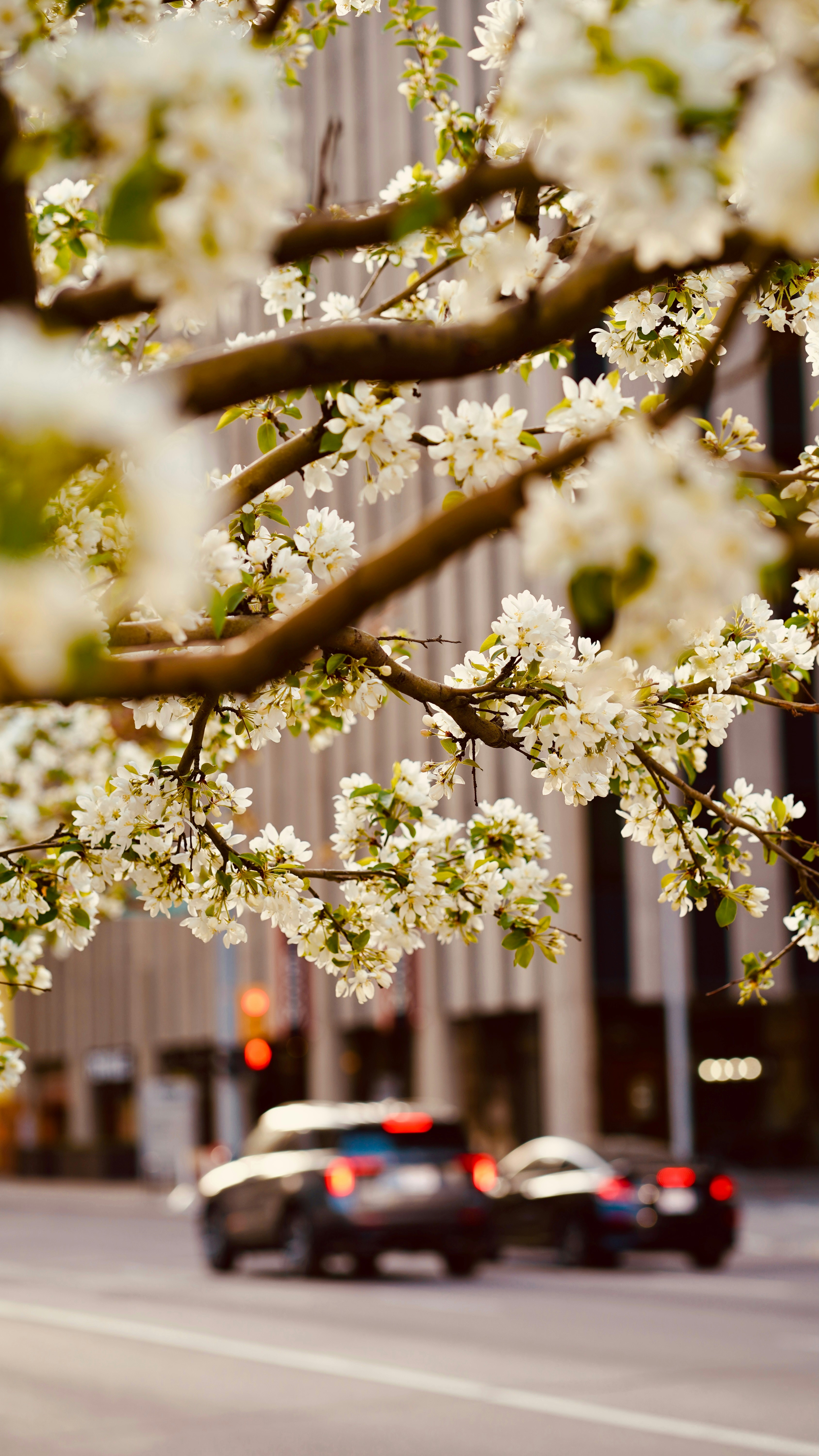 Photo by sangam_sharma