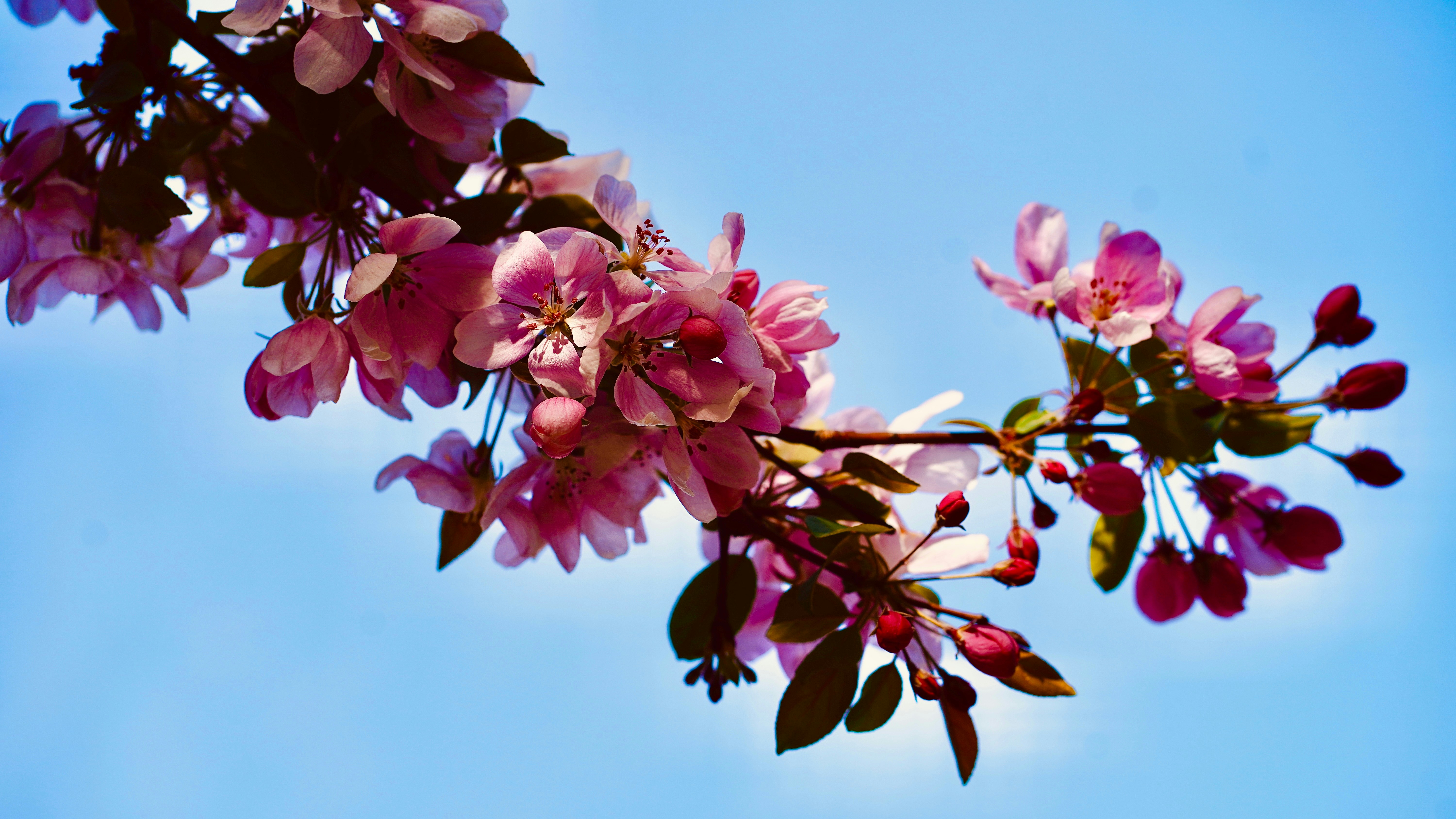 Photo by sangam_sharma