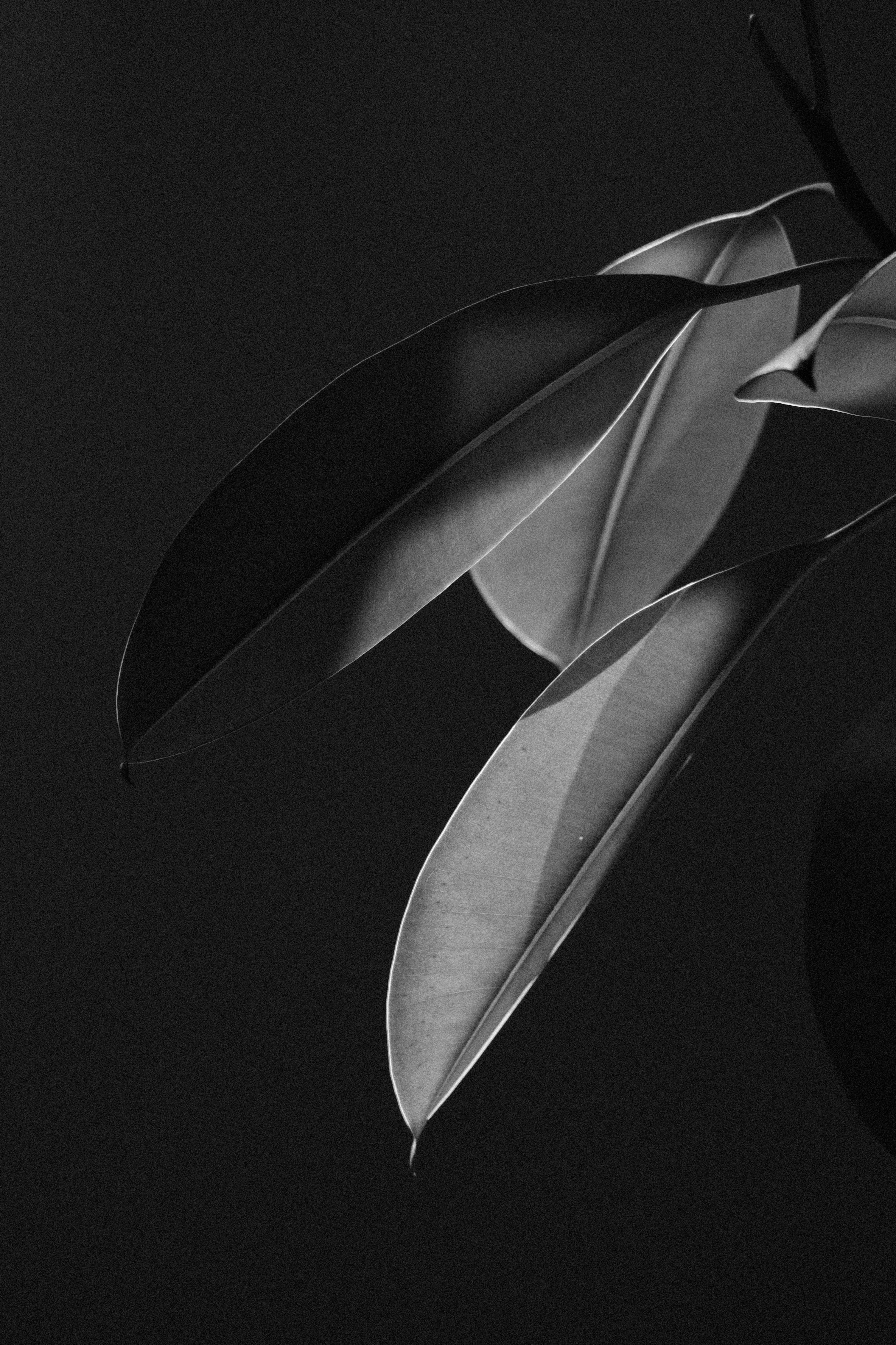 Photo by gev__avetisyan