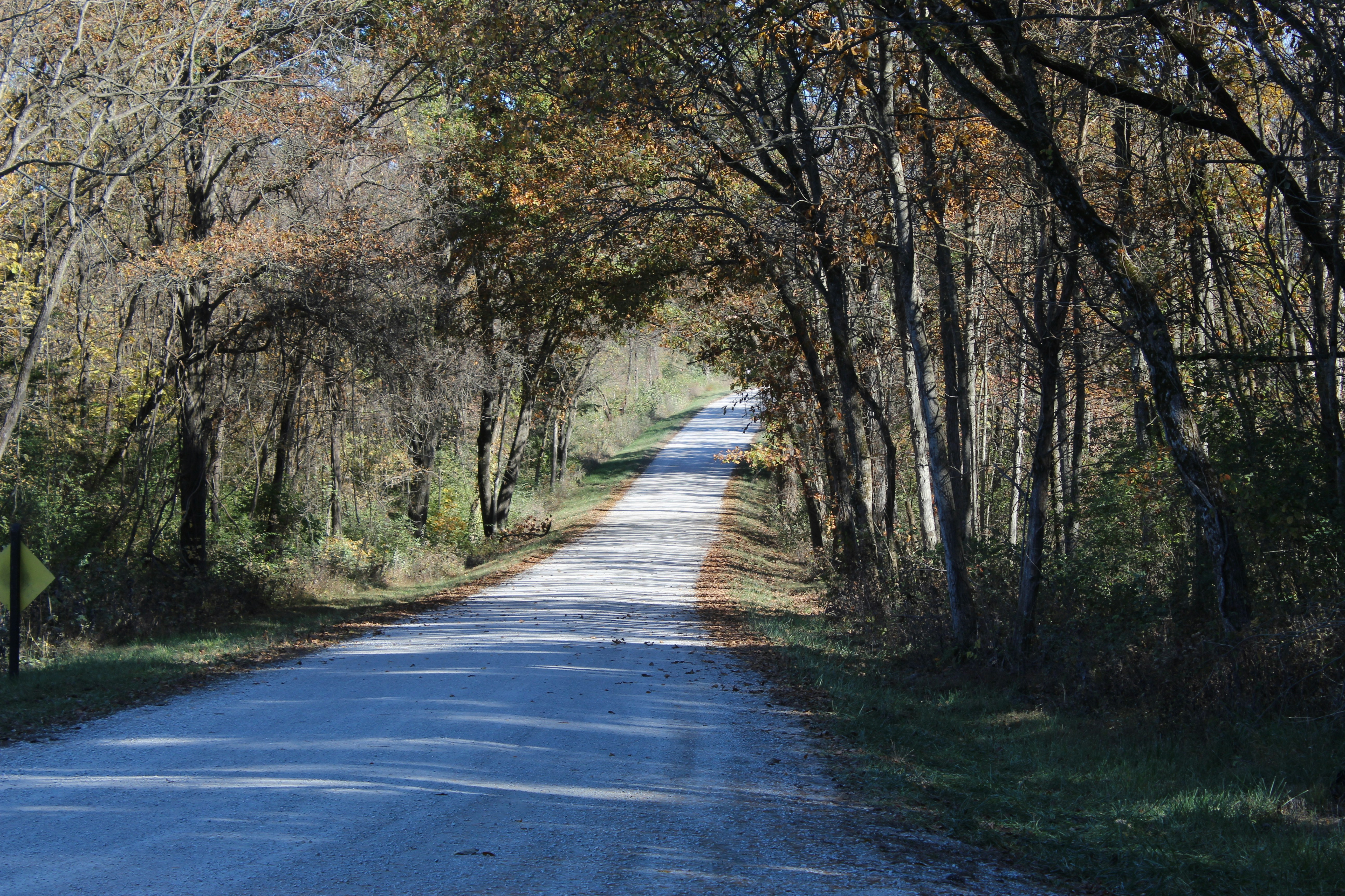 Photo by tyler_420698